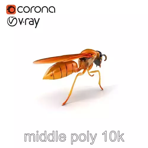 Paper Wasp 3D Entomology model pack