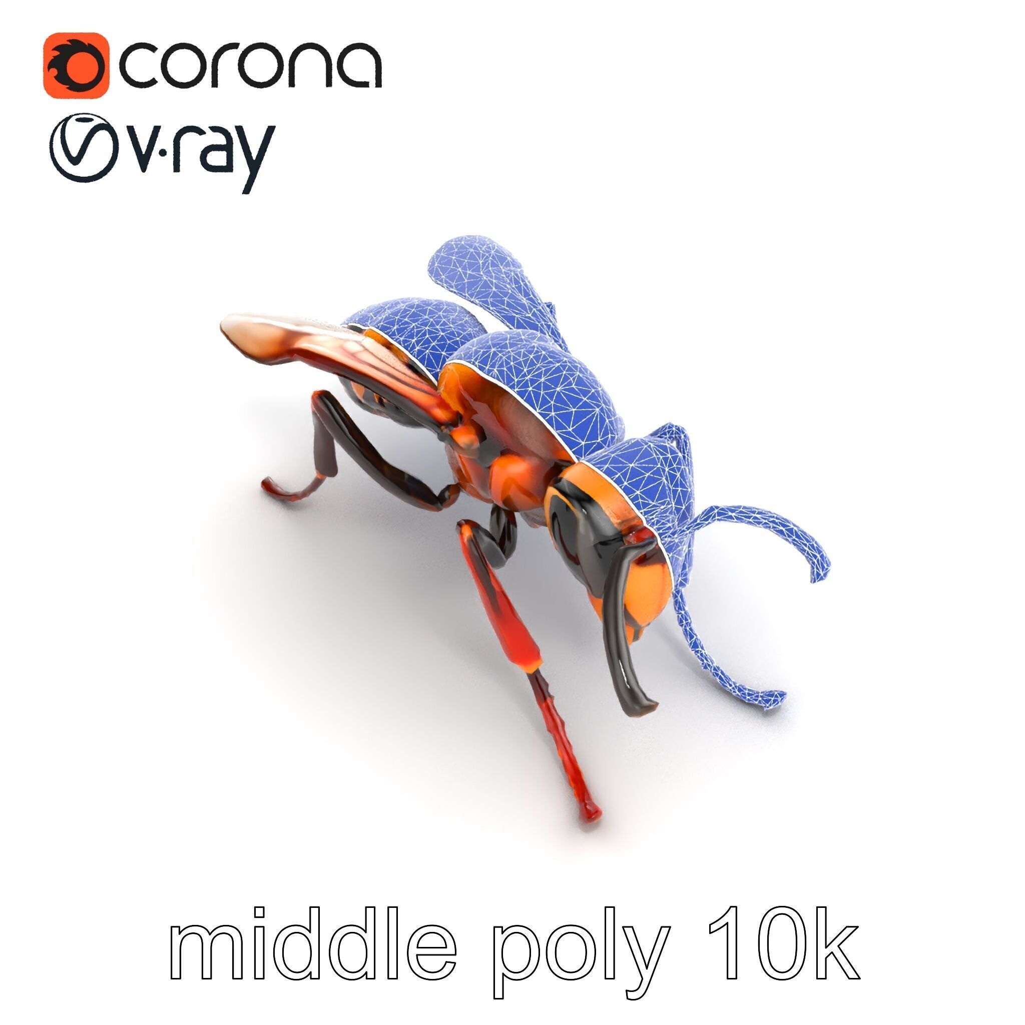 Detailed Hornet Species 3D Model Pack Low-poly 3D model_22