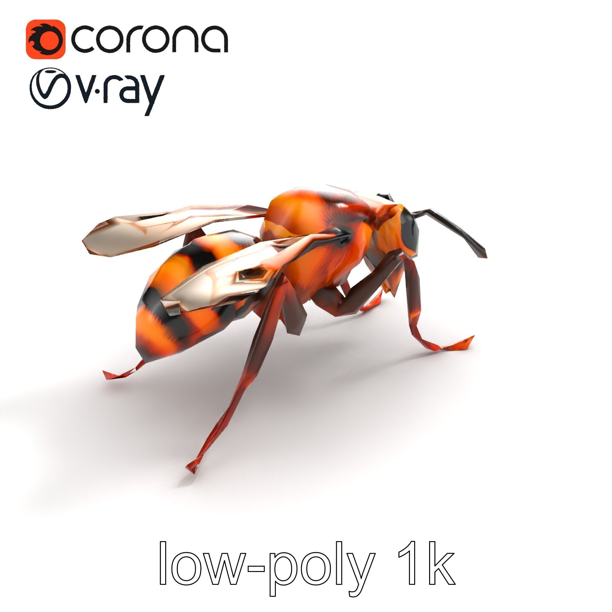 Detailed Hornet Species 3D Model Pack Low-poly 3D model_8