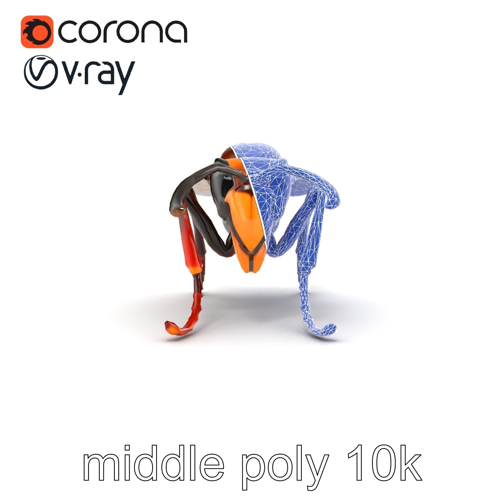 Detailed Hornet Species 3D Model Pack Low-poly 3D model_29