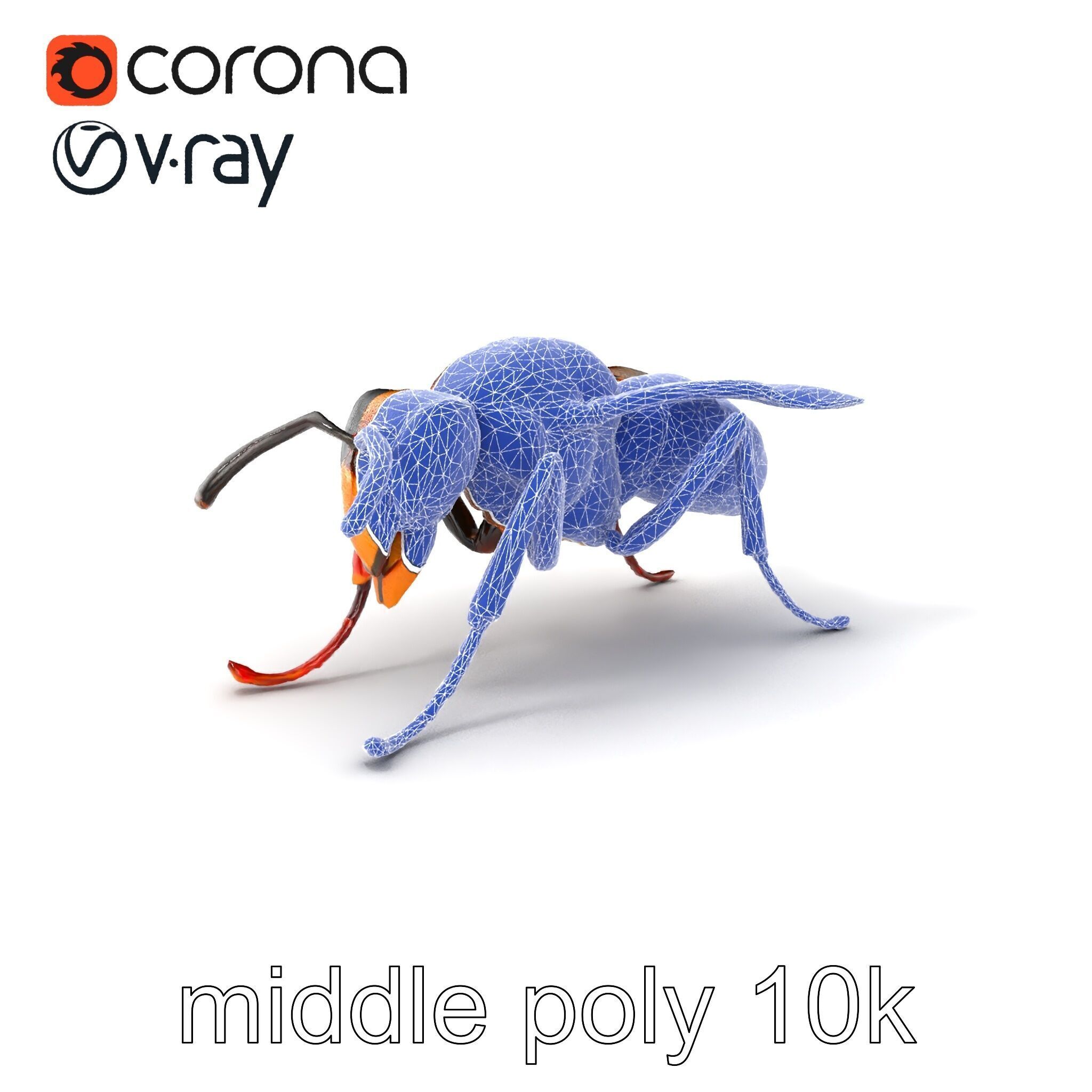 Detailed Hornet Species 3D Model Pack Low-poly 3D model_5