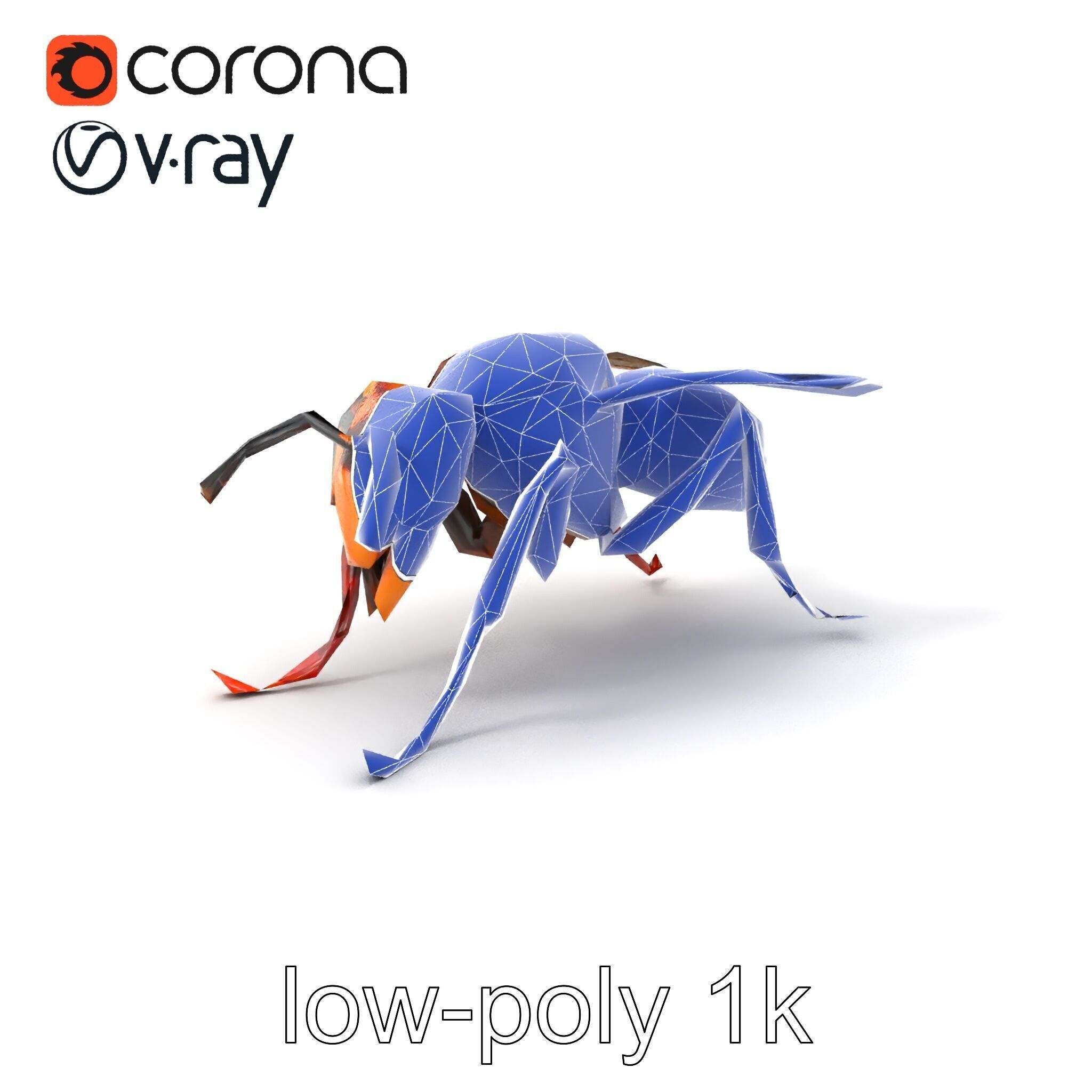 Detailed Hornet Species 3D Model Pack Low-poly 3D model_6