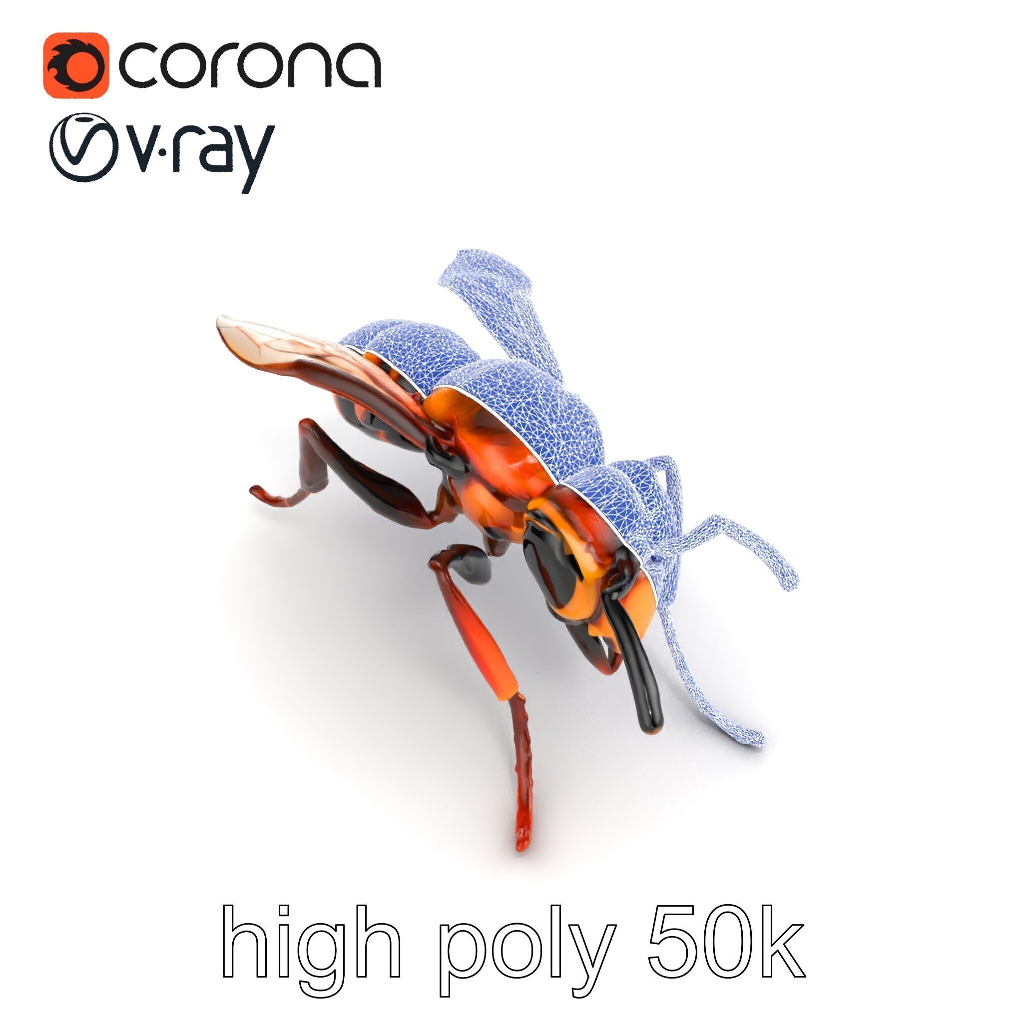 Detailed Hornet Species 3D Model Pack Low-poly 3D model_30