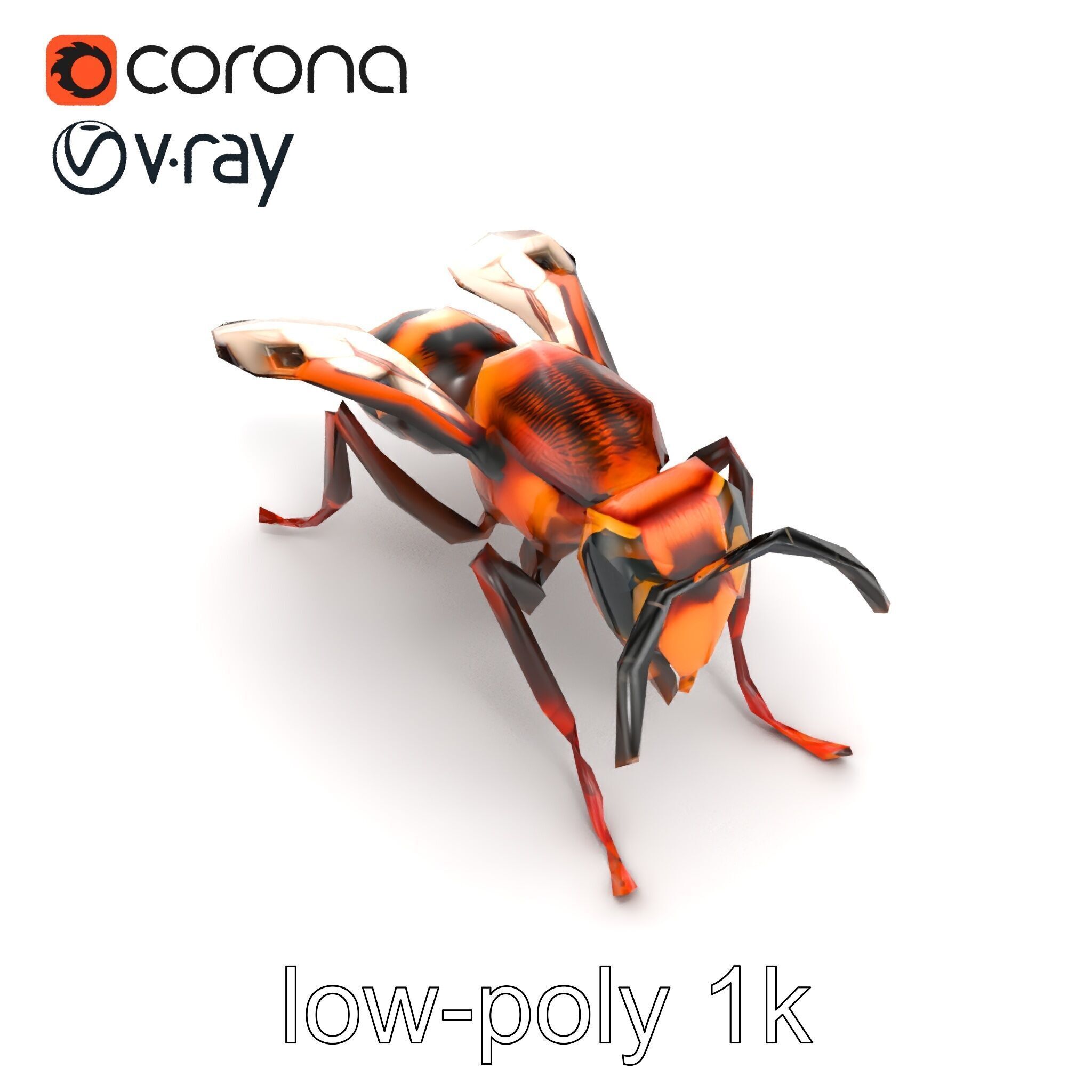Detailed Hornet Species 3D Model Pack Low-poly 3D model_17