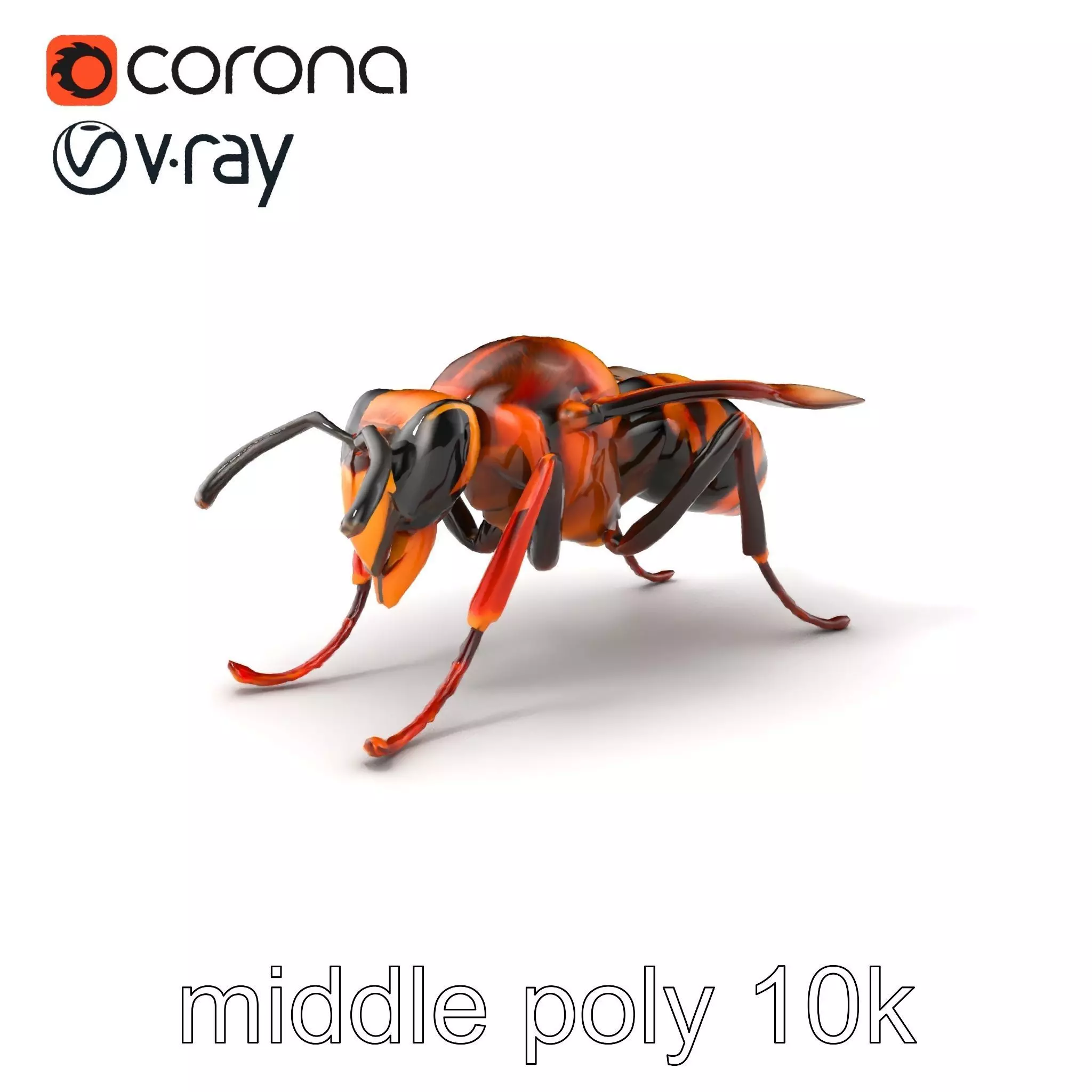 Detailed Hornet Species 3D Model Pack Low-poly 3D model_0