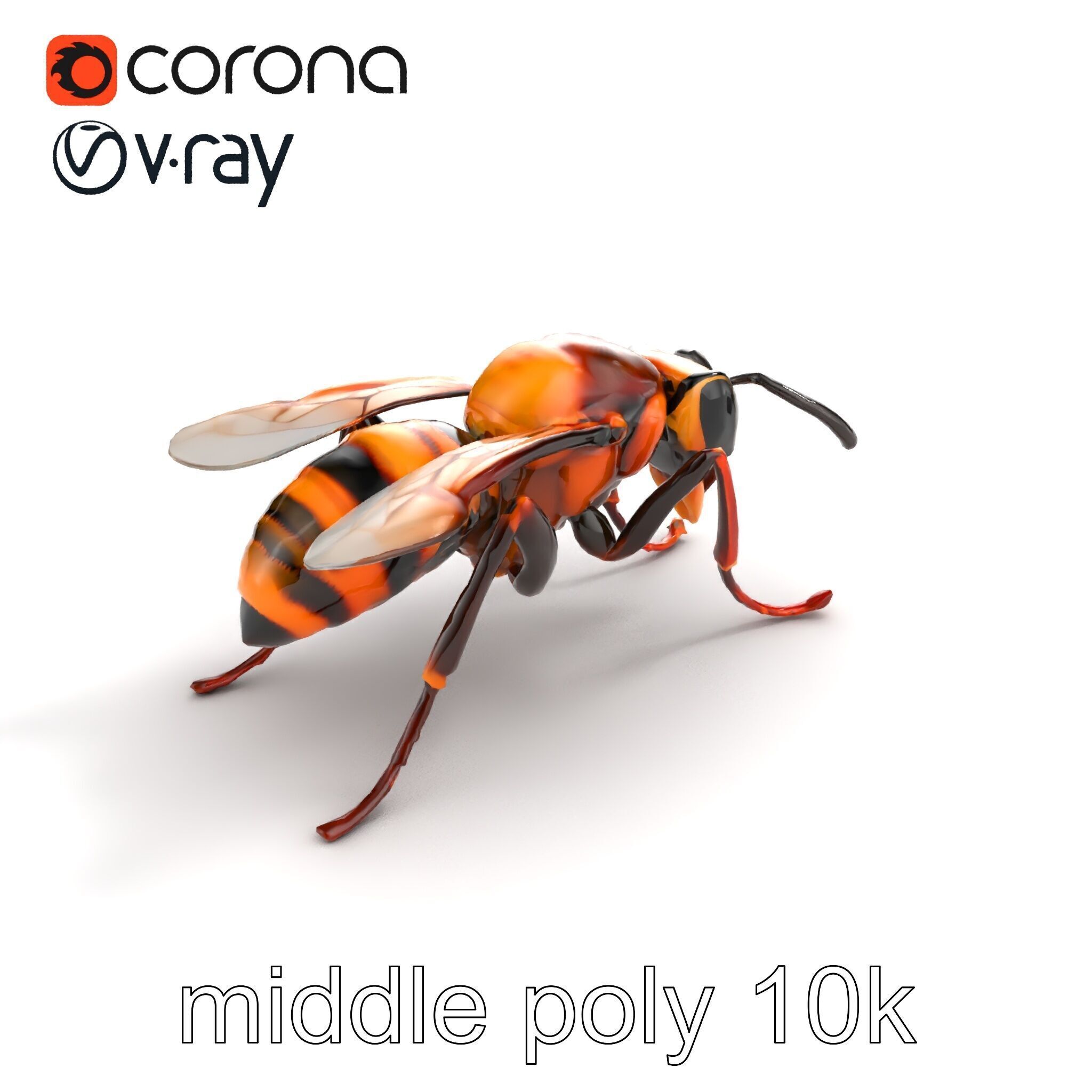 Detailed Hornet Species 3D Model Pack Low-poly 3D model_7