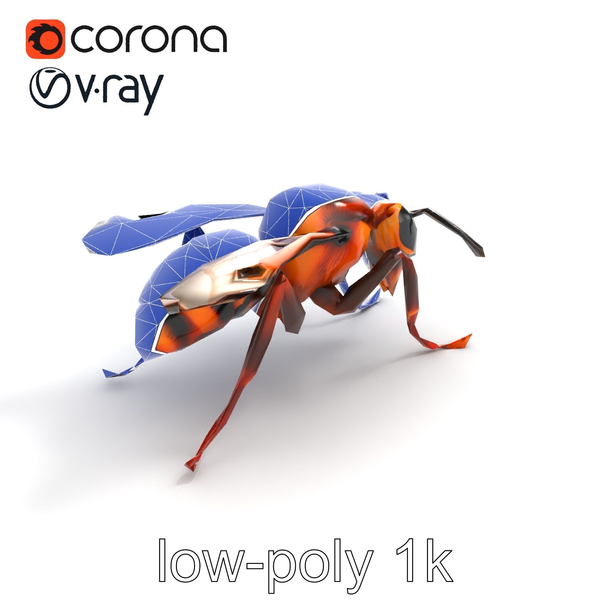 Detailed Hornet Species 3D Model Pack Low-poly 3D model_18