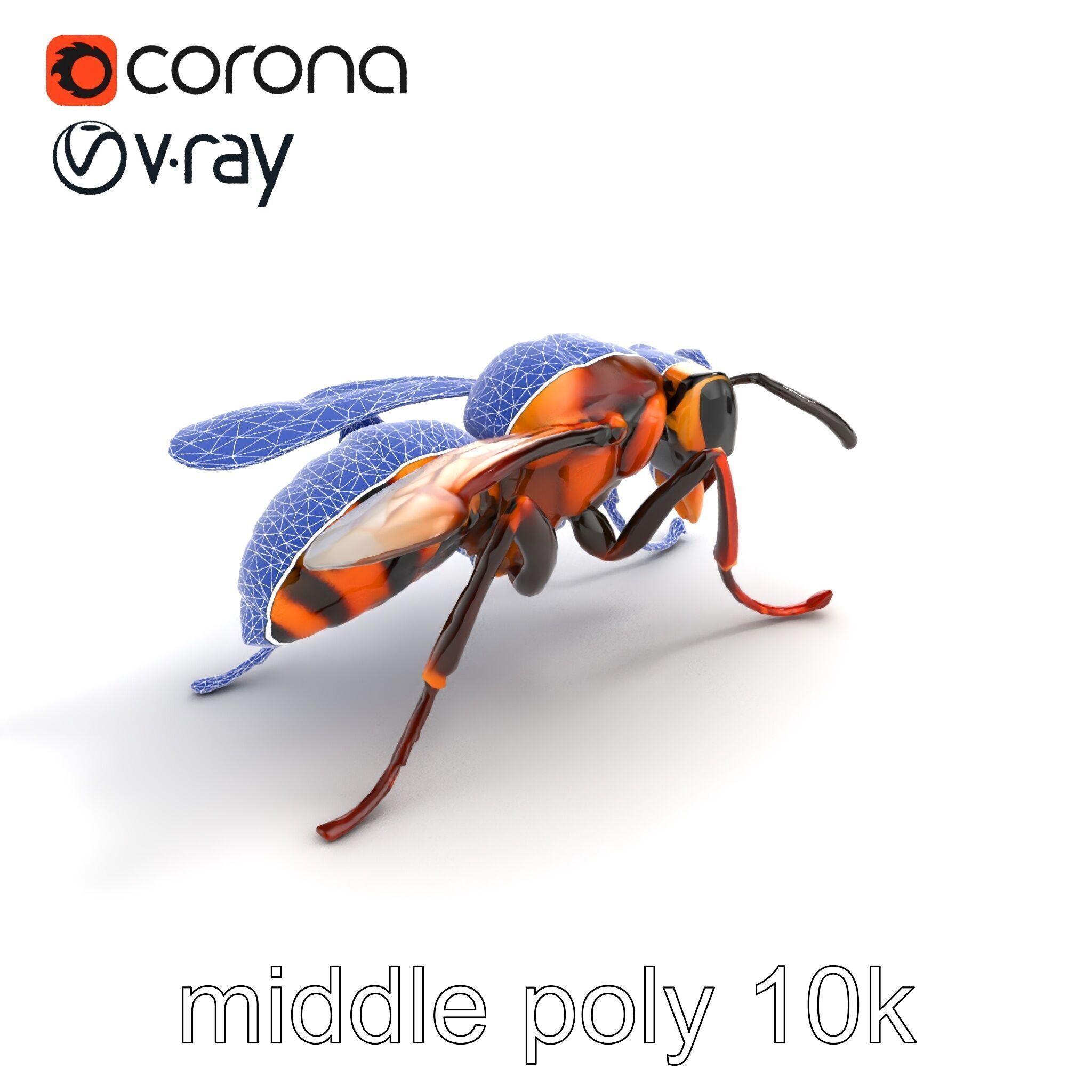 Detailed Hornet Species 3D Model Pack Low-poly 3D model_10