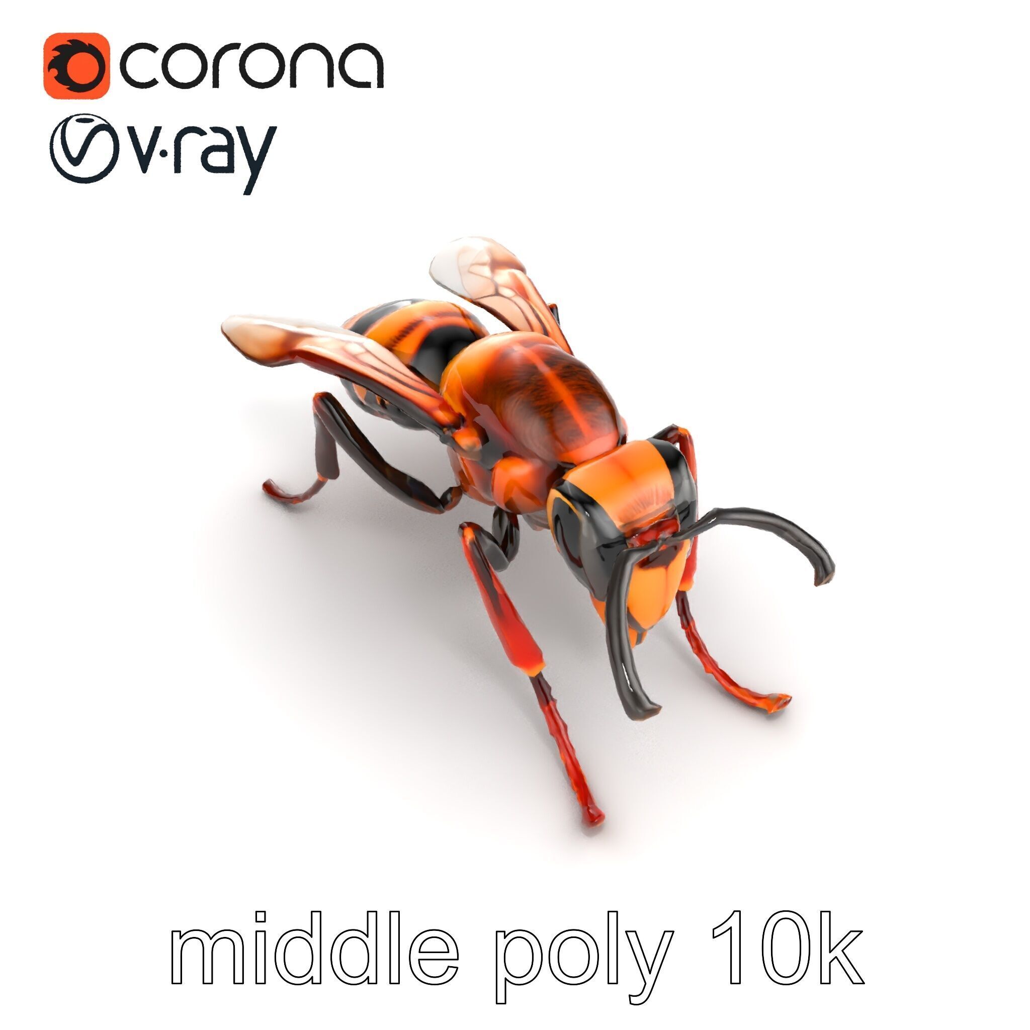 Detailed Hornet Species 3D Model Pack Low-poly 3D model_11