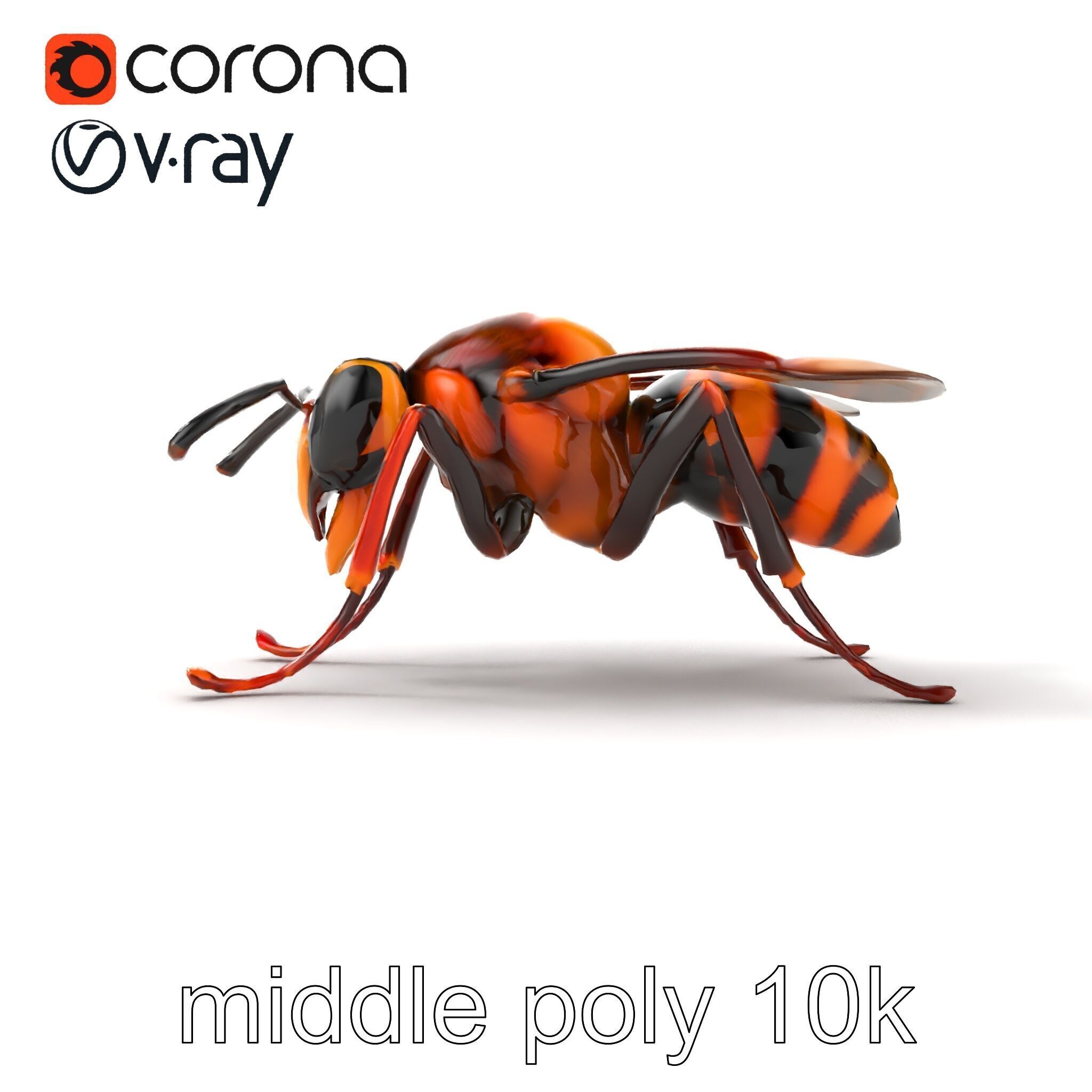 Detailed Hornet Species 3D Model Pack Low-poly 3D model_14