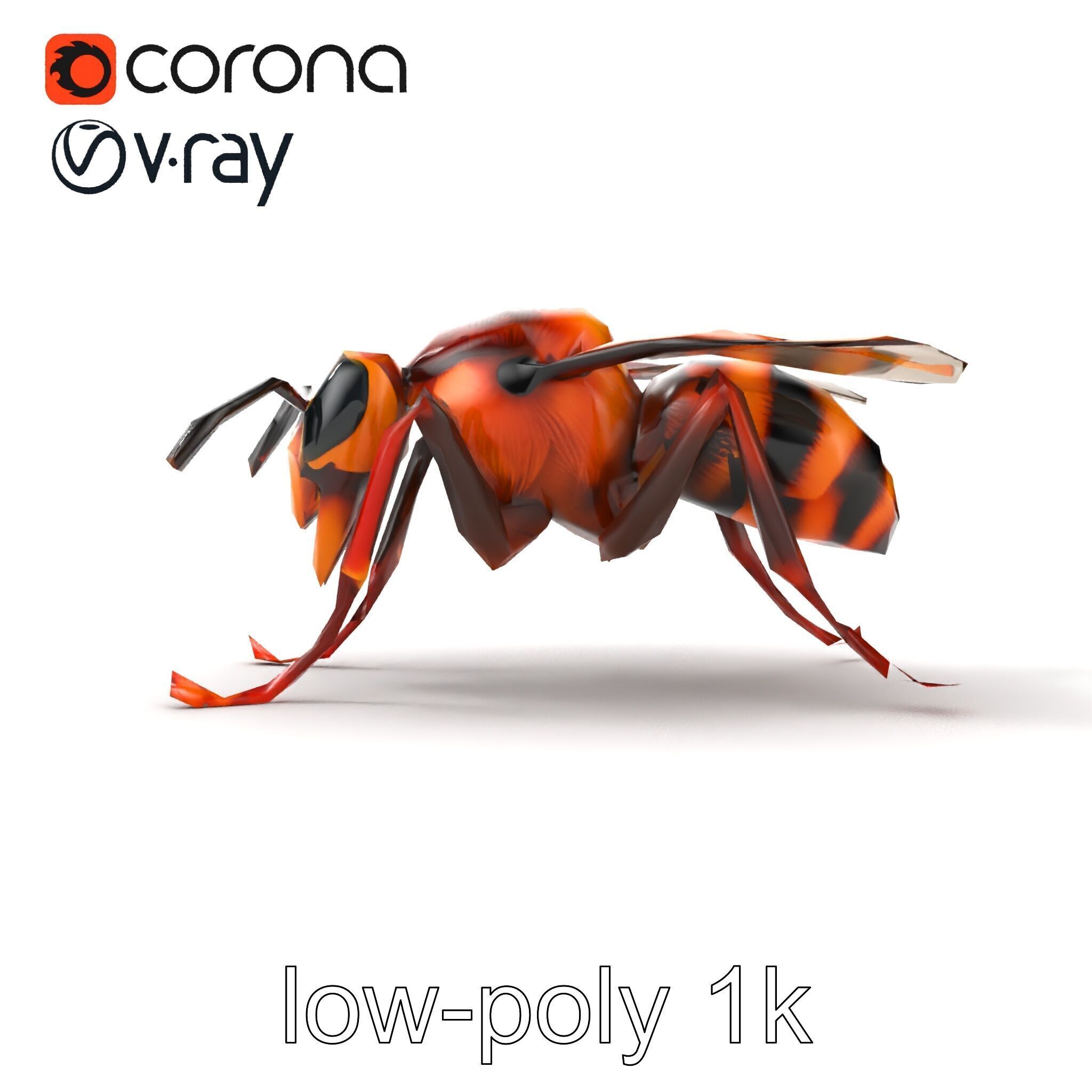 Detailed Hornet Species 3D Model Pack Low-poly 3D model_15