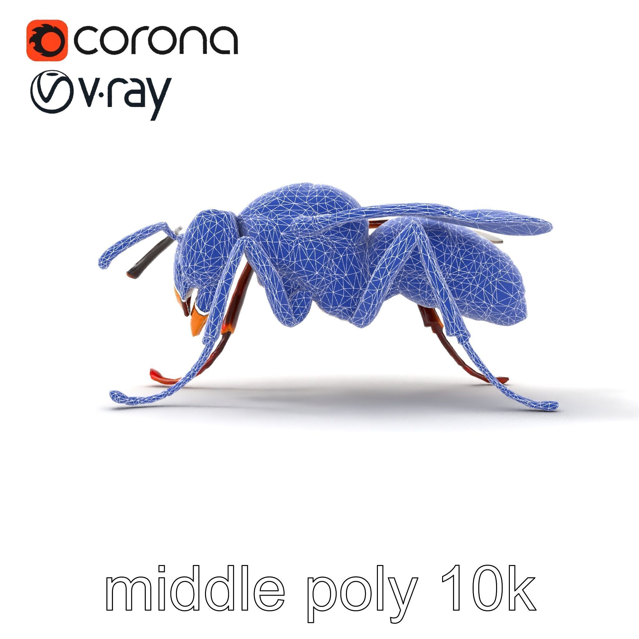 Detailed Hornet Species 3D Model Pack Low-poly 3D model_26