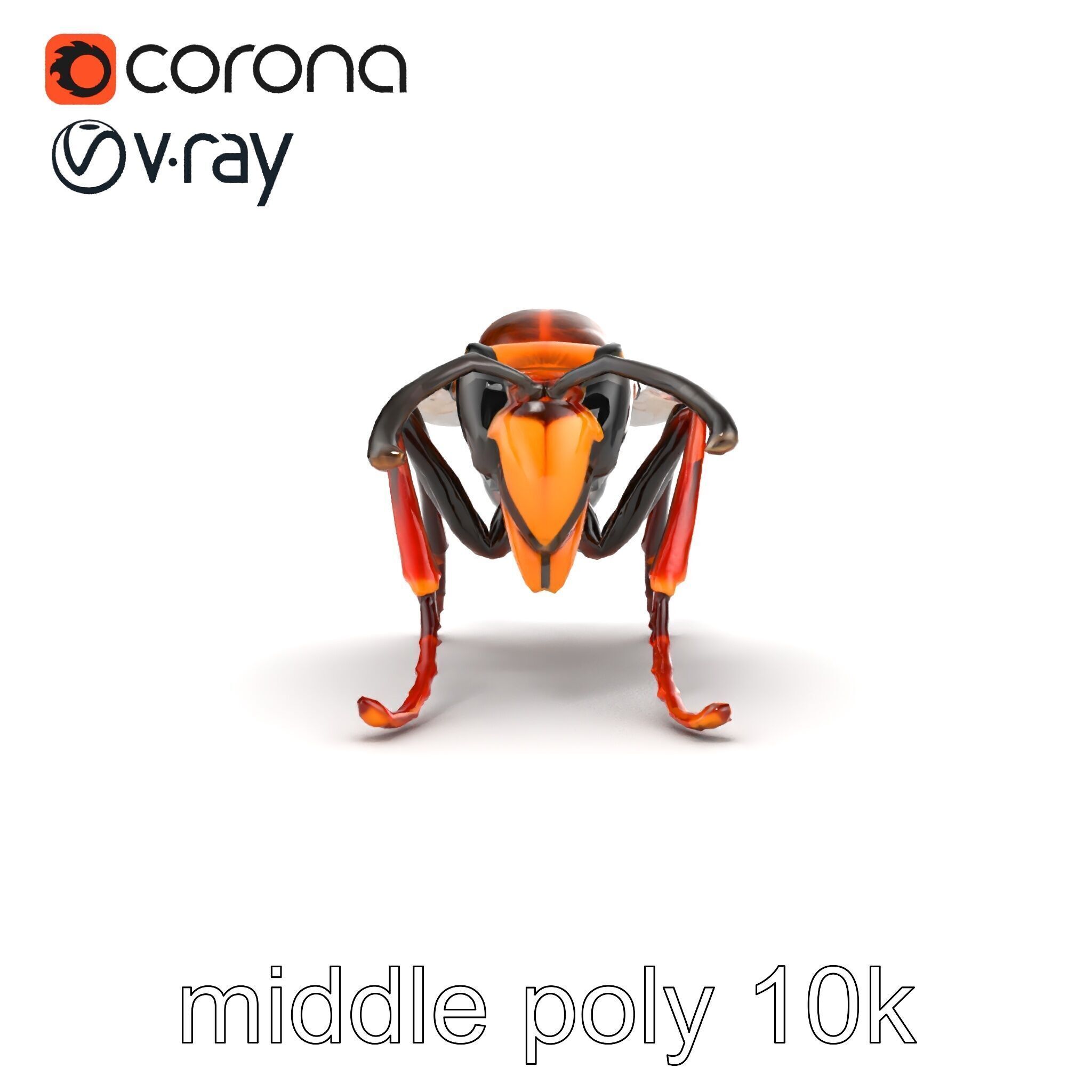 Detailed Hornet Species 3D Model Pack Low-poly 3D model_19