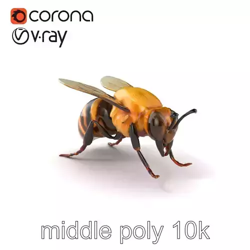 Leafcutter Bee Realistic Model Pack Low-poly 3D model