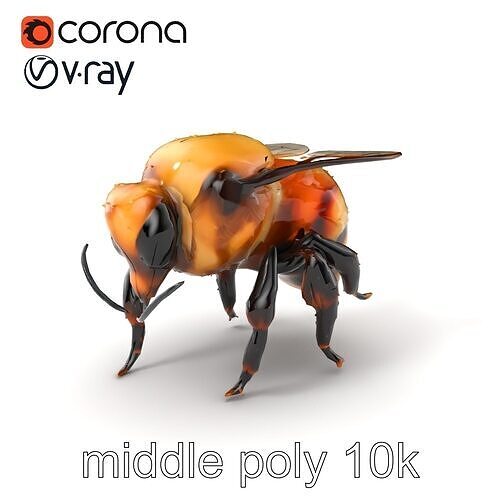 Rusty Patched Bumblebee Realistic Model Pack Low-poly 3D model