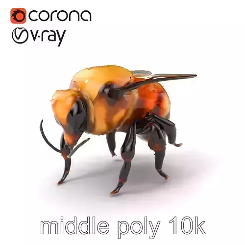 Rusty Patched Bumblebee Realistic Model Pack Low-poly 3D model