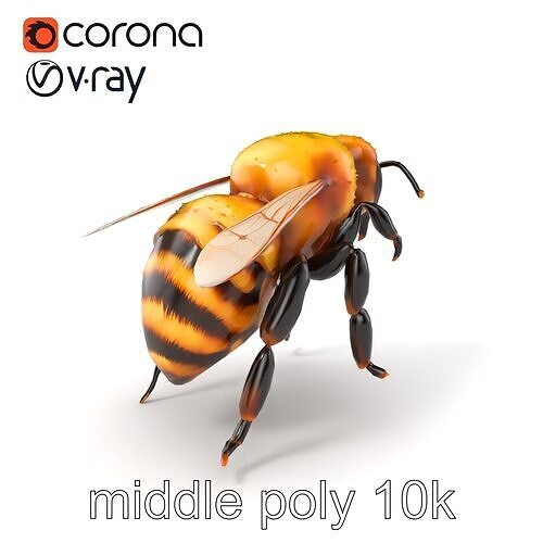 Yellow-faced Bumblebee Detailed Sculpture model pack Low-poly 3D model