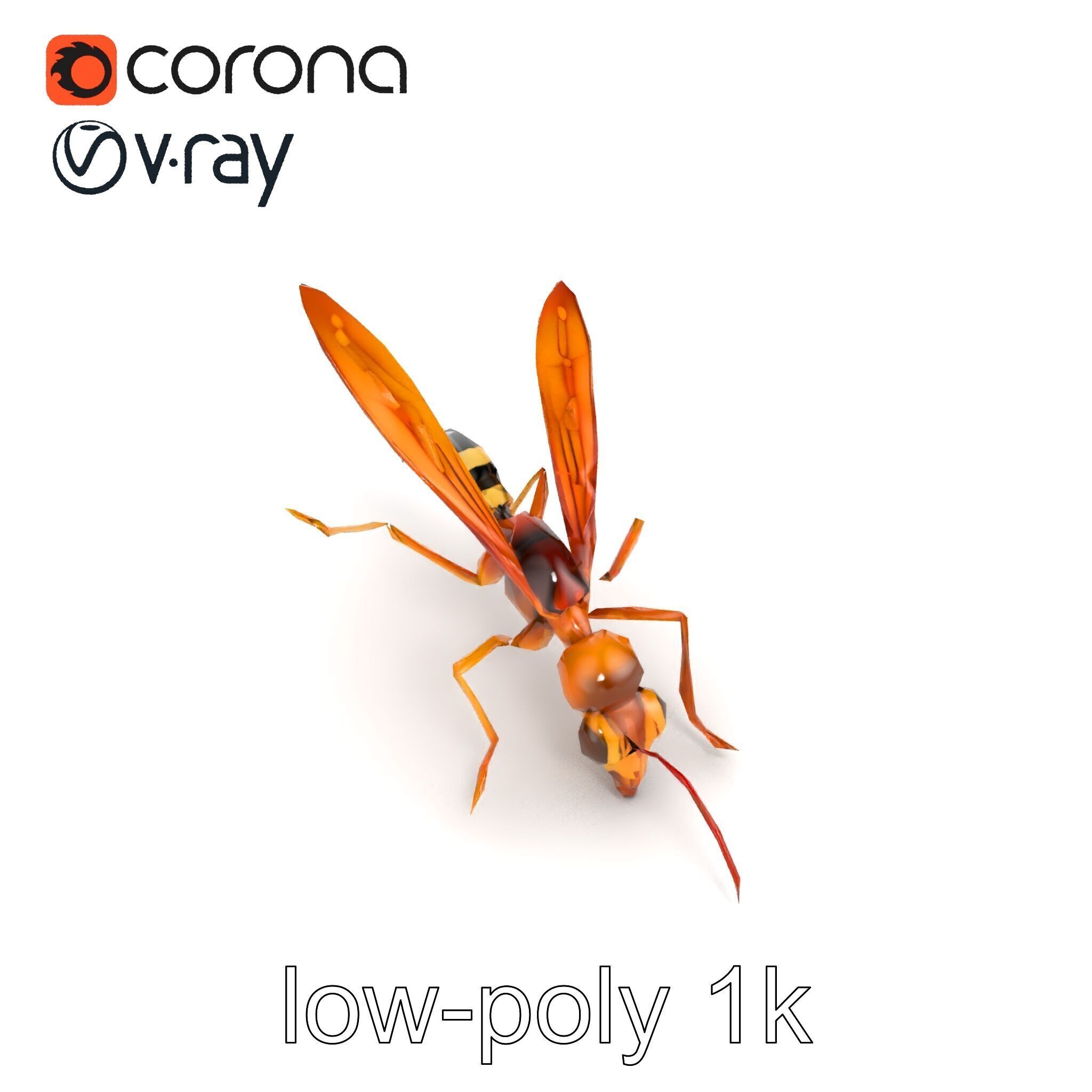 Ichneumon Wasp Anatomical Precision 3D Model Pack Low-poly 3D model_14