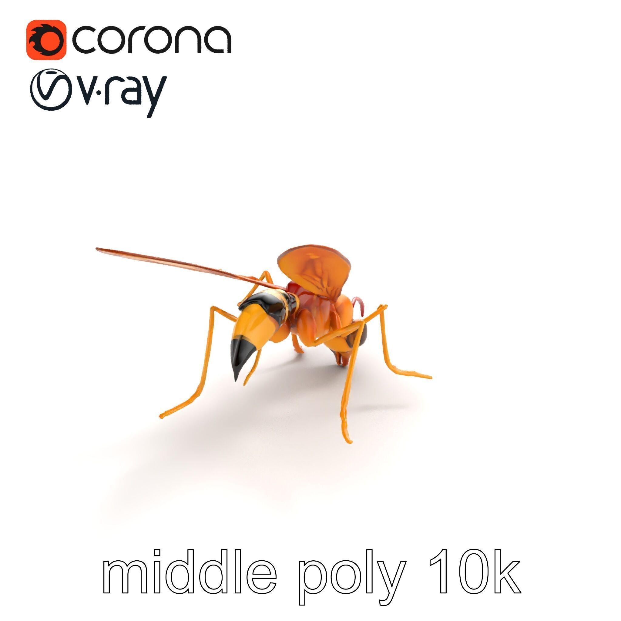 Ichneumon Wasp Anatomical Precision 3D Model Pack Low-poly 3D model_8