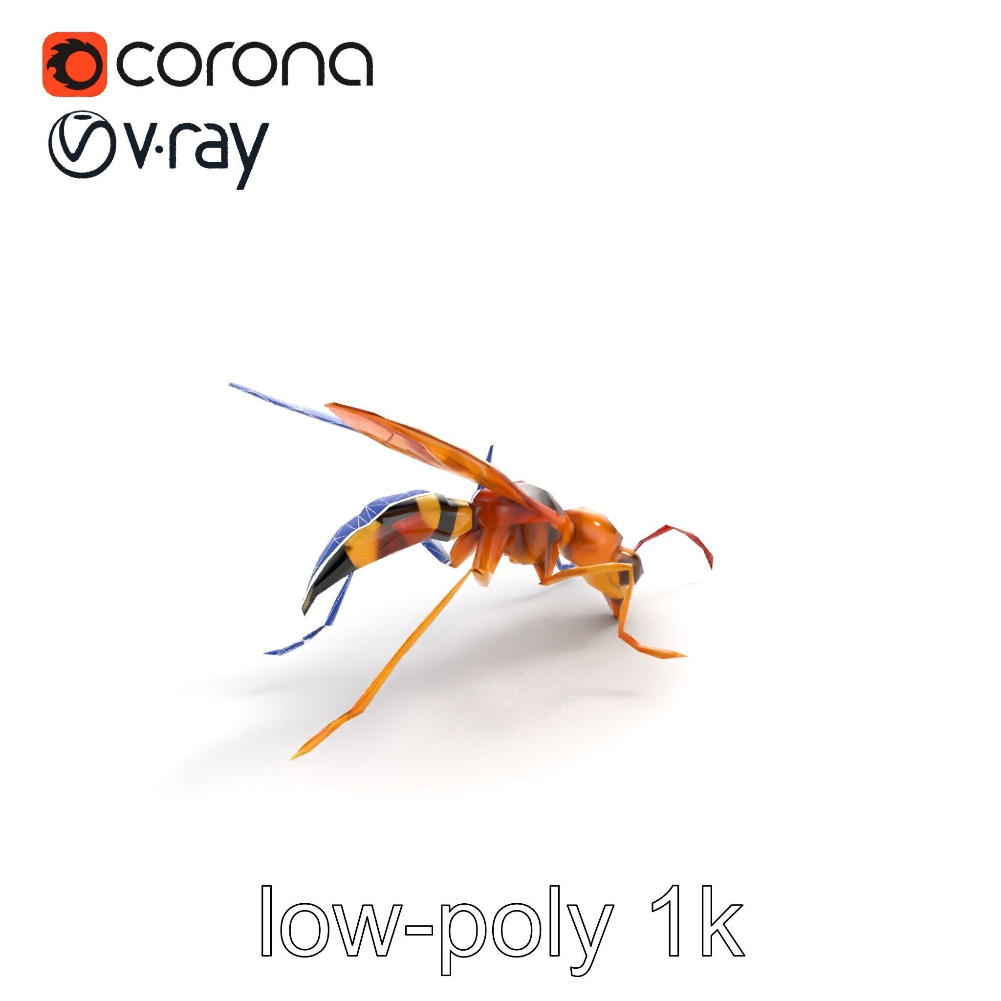 Ichneumon Wasp Anatomical Precision 3D Model Pack Low-poly 3D model_18