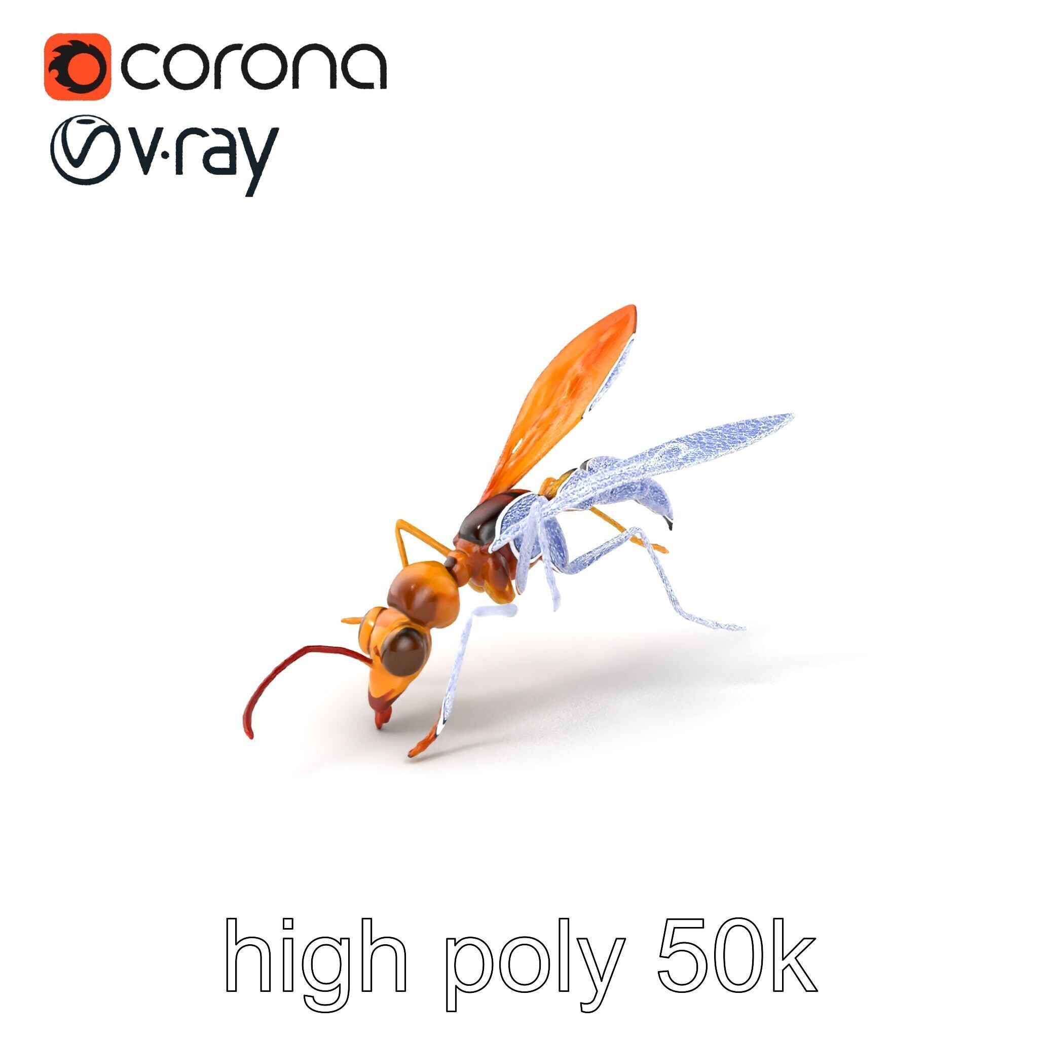 Ichneumon Wasp Anatomical Precision 3D Model Pack Low-poly 3D model_10