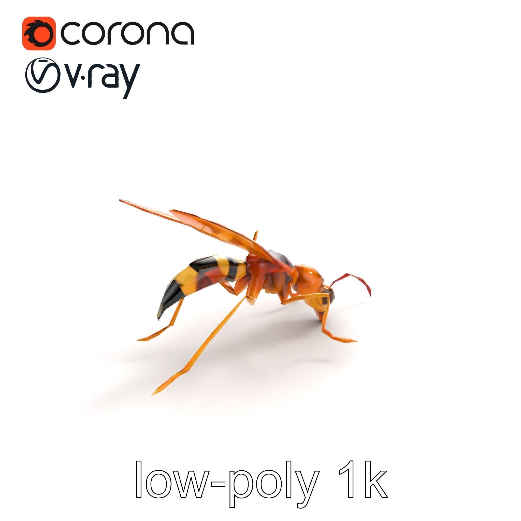 Ichneumon Wasp Anatomical Precision 3D Model Pack Low-poly 3D model_9