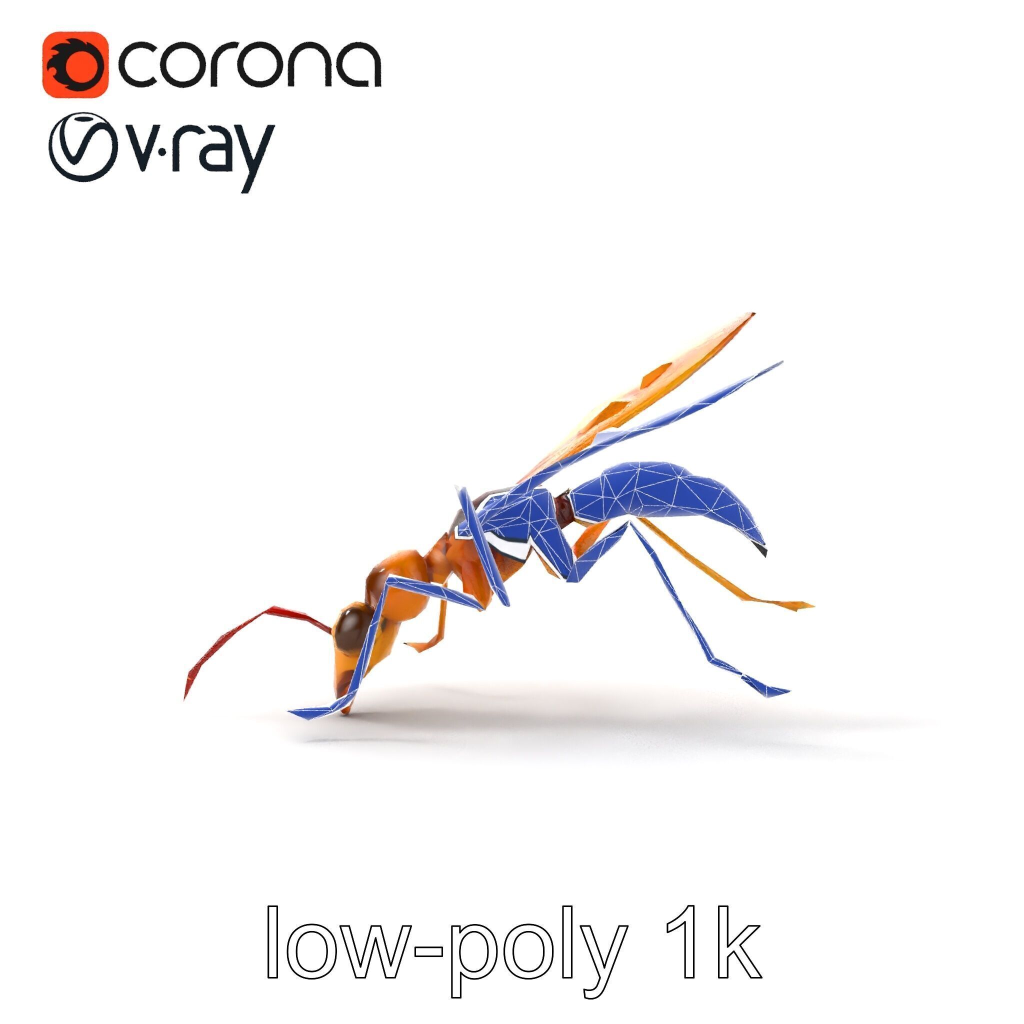 Ichneumon Wasp Anatomical Precision 3D Model Pack Low-poly 3D model_23