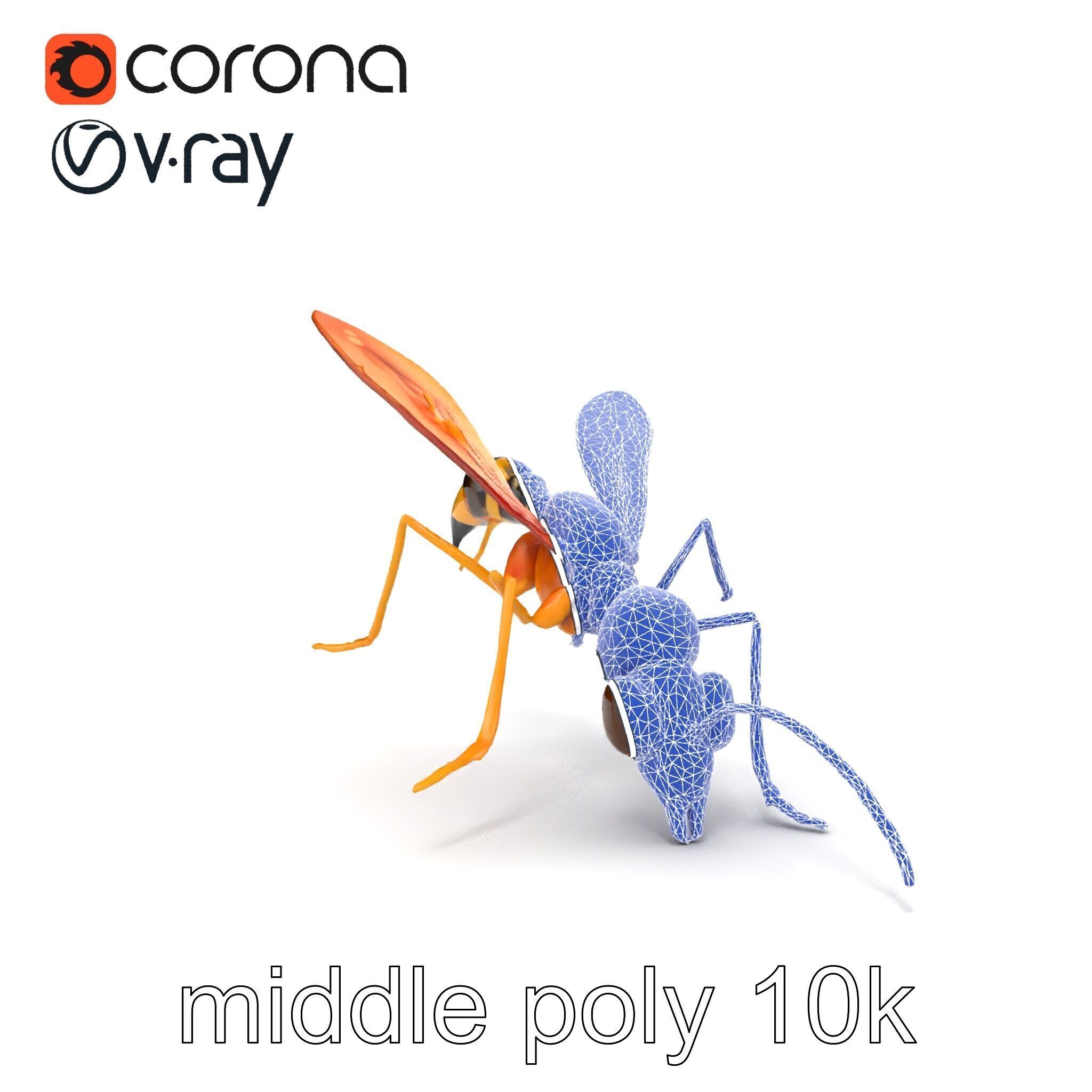 Ichneumon Wasp Anatomical Precision 3D Model Pack Low-poly 3D model_19