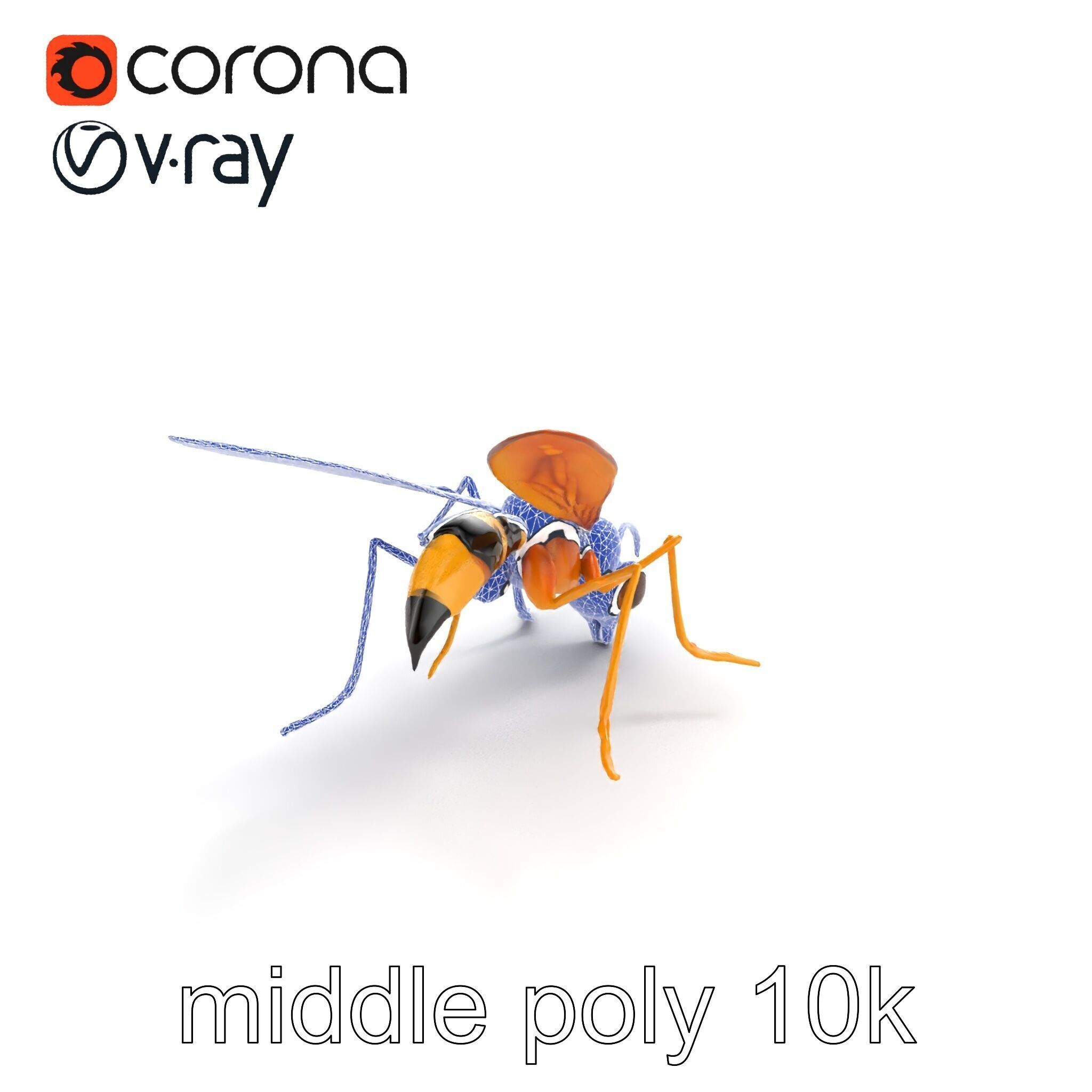 Ichneumon Wasp Anatomical Precision 3D Model Pack Low-poly 3D model_11
