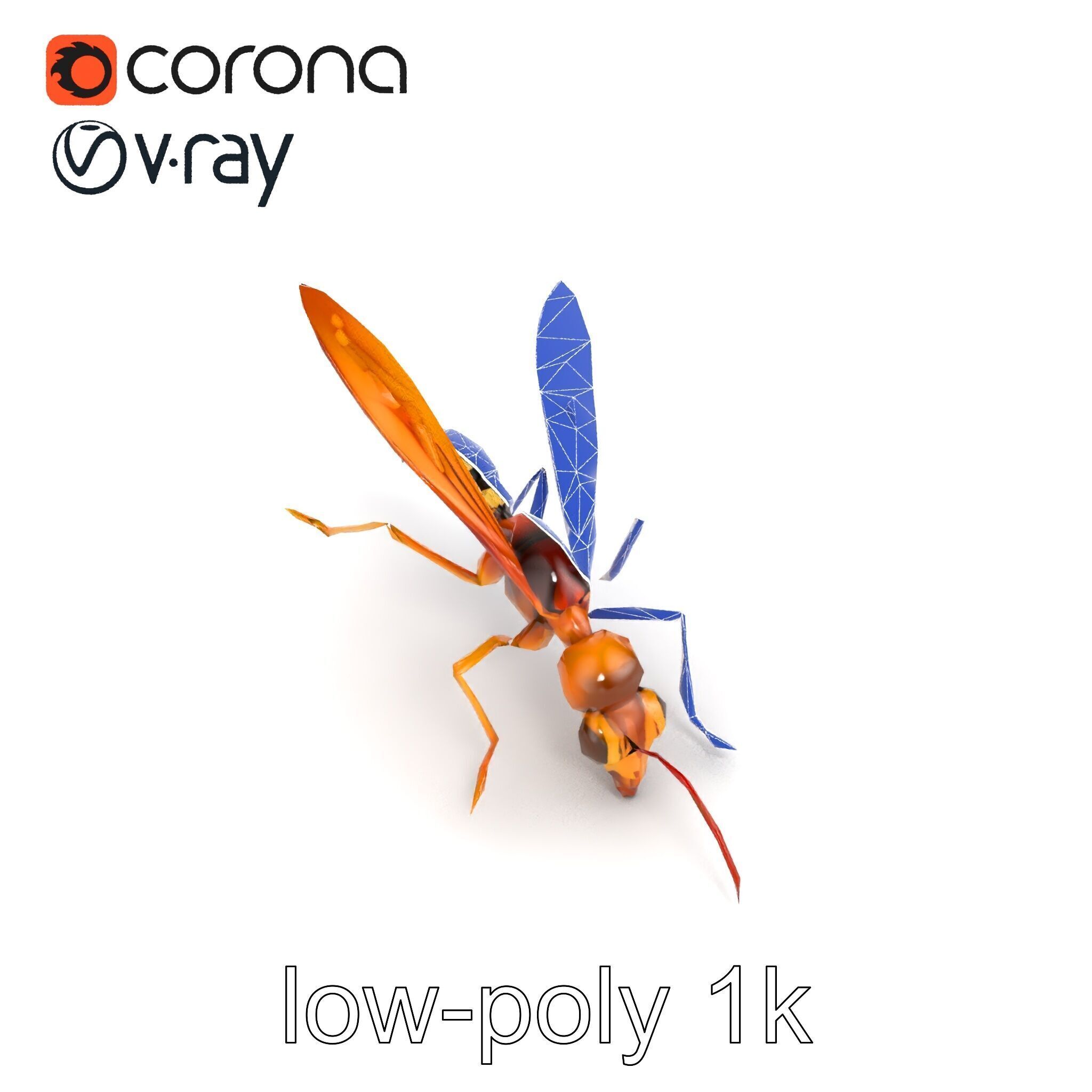 Ichneumon Wasp Anatomical Precision 3D Model Pack Low-poly 3D model_21