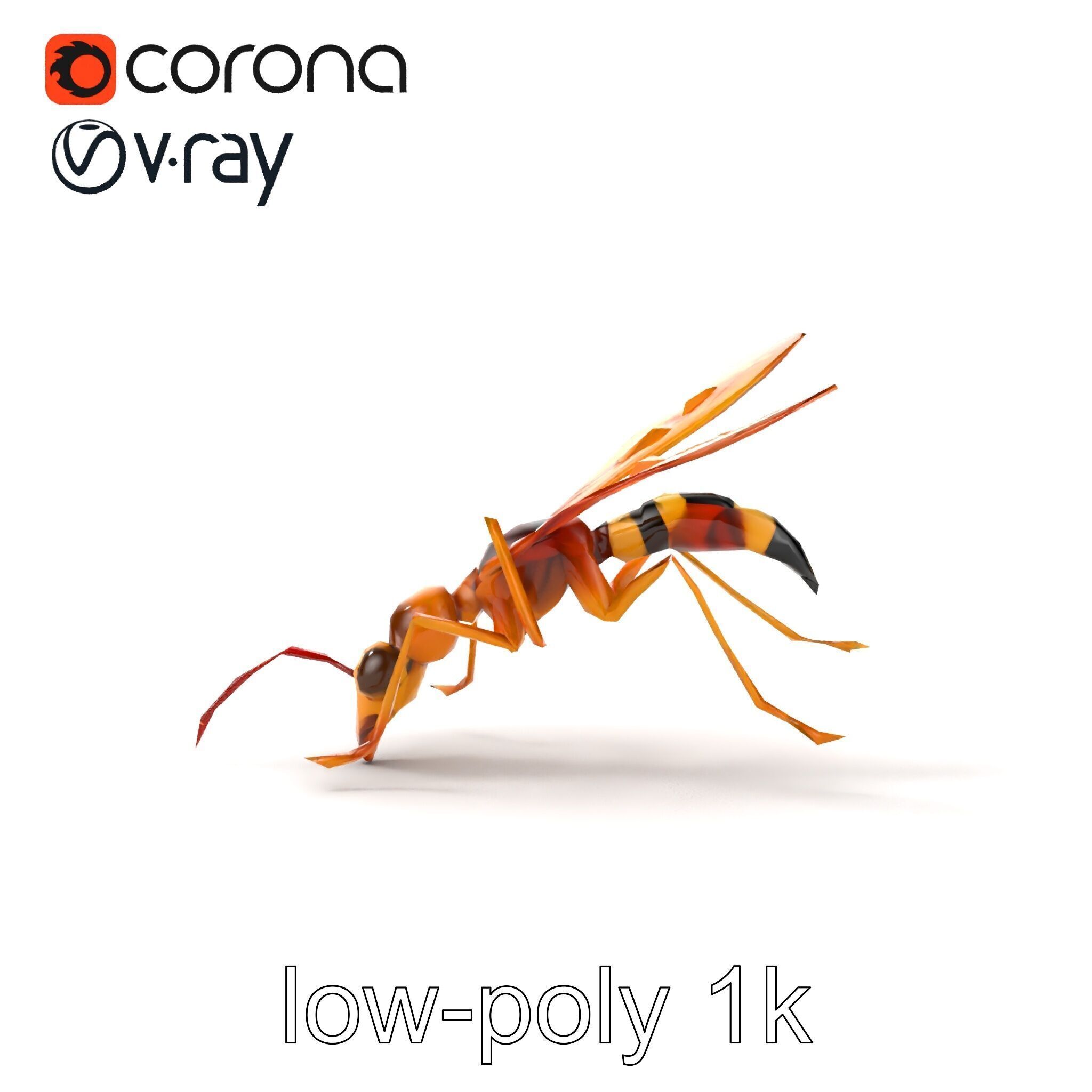 Ichneumon Wasp Anatomical Precision 3D Model Pack Low-poly 3D model_28