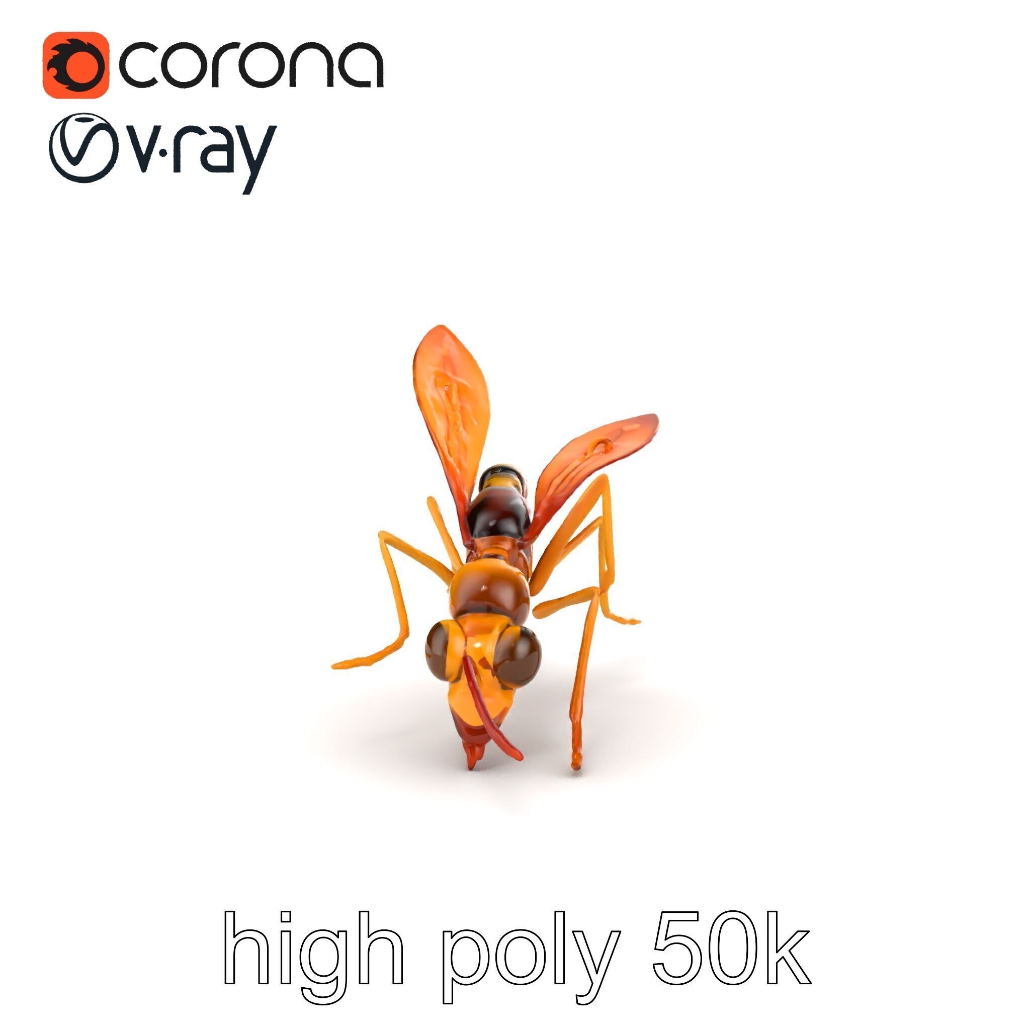 Ichneumon Wasp Anatomical Precision 3D Model Pack Low-poly 3D model_25
