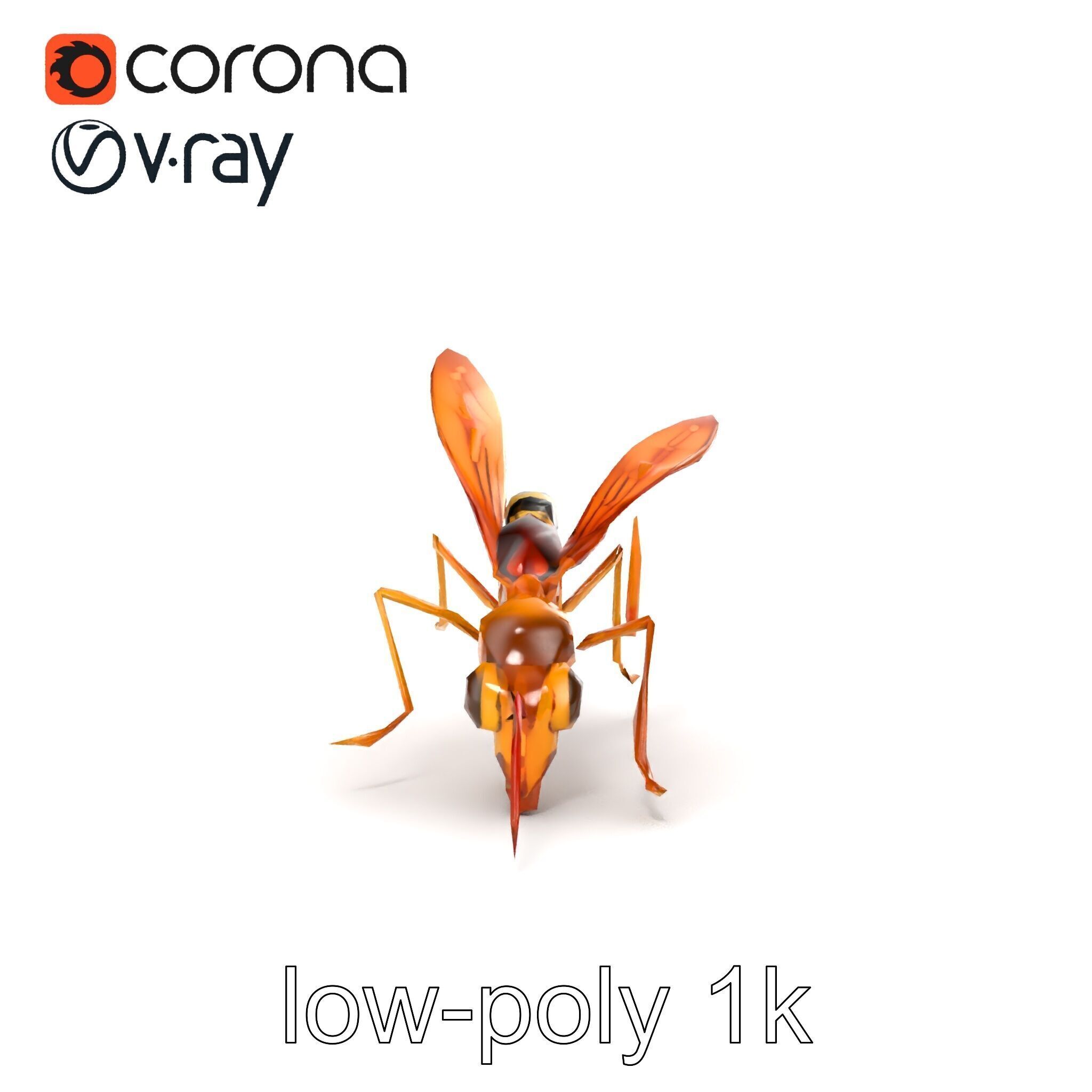 Ichneumon Wasp Anatomical Precision 3D Model Pack Low-poly 3D model_27