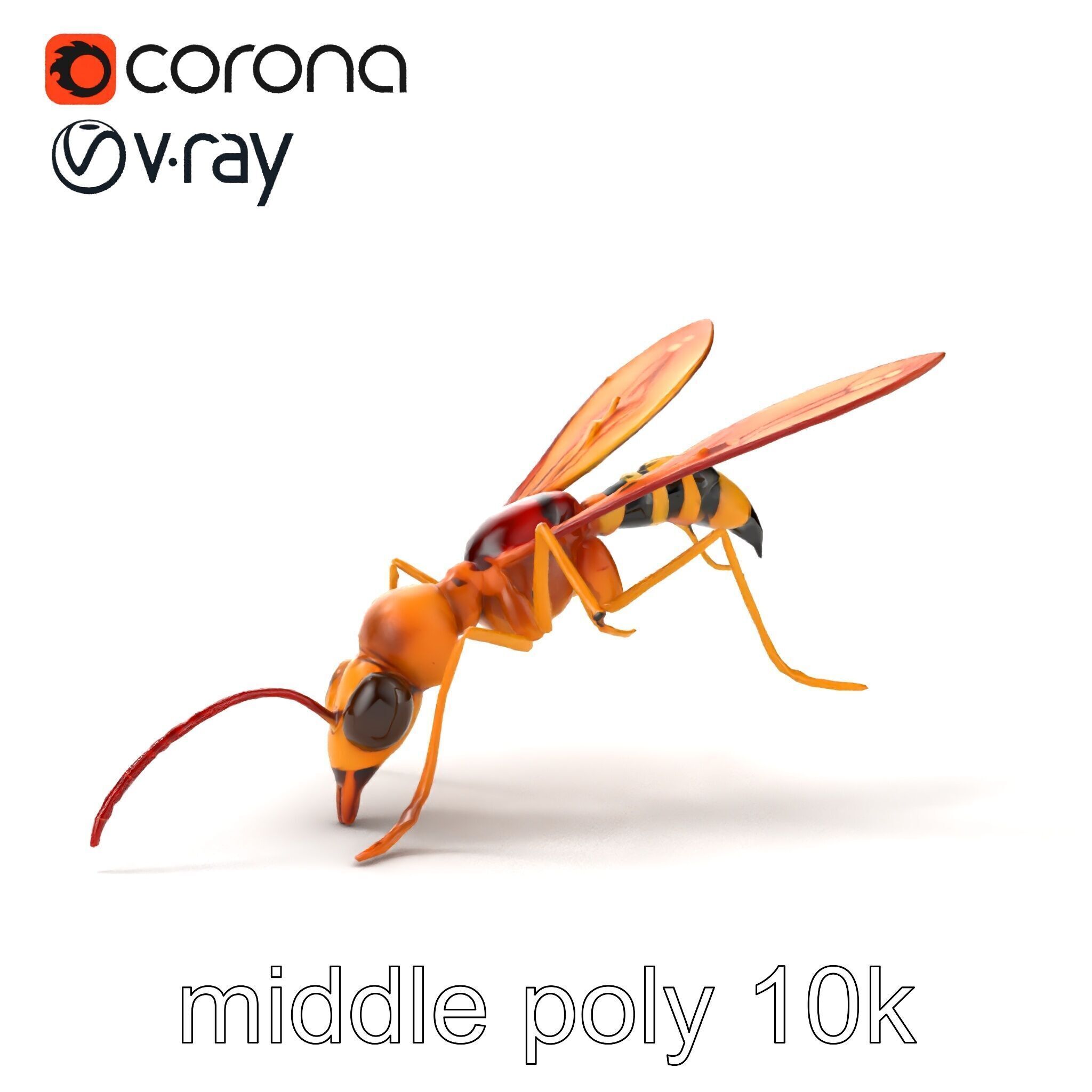 Ichneumon Wasp Anatomical Precision 3D Model Pack Low-poly 3D model_22