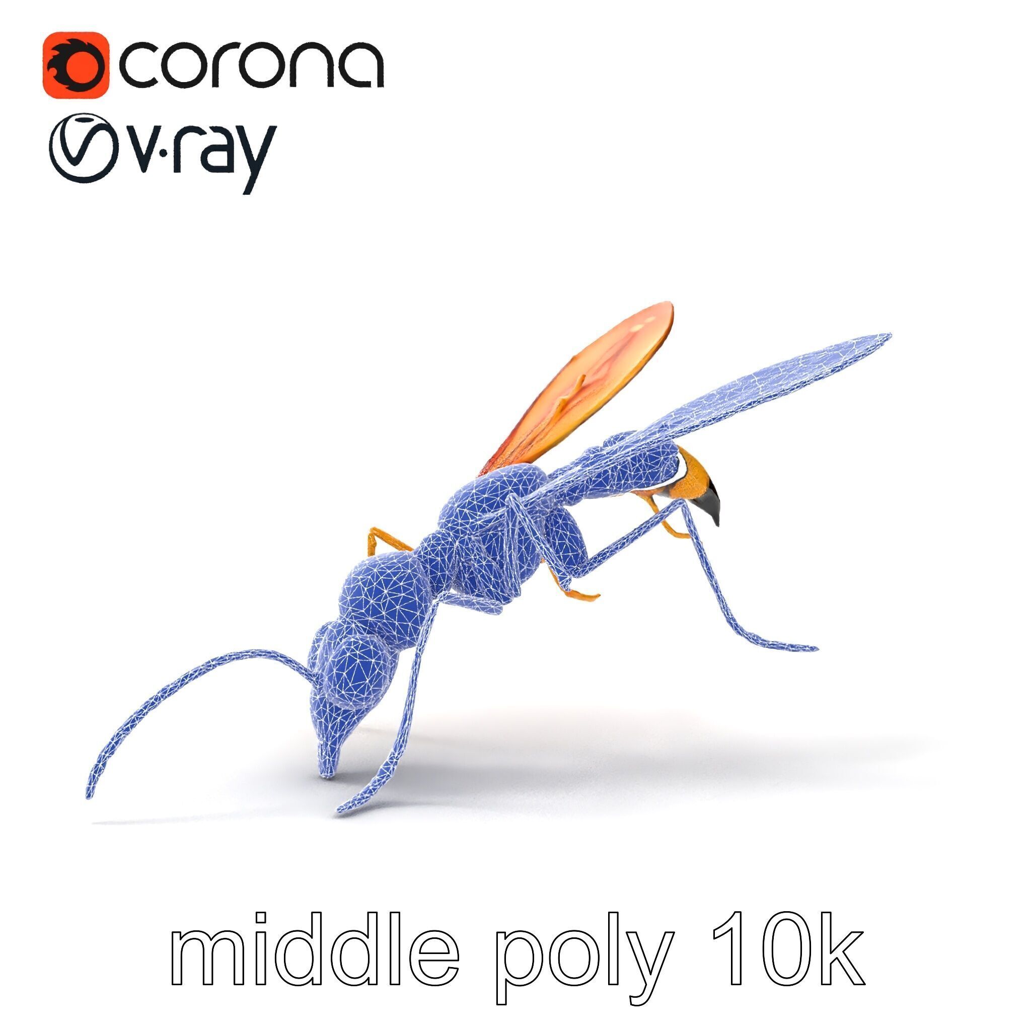 Ichneumon Wasp Anatomical Precision 3D Model Pack Low-poly 3D model_32