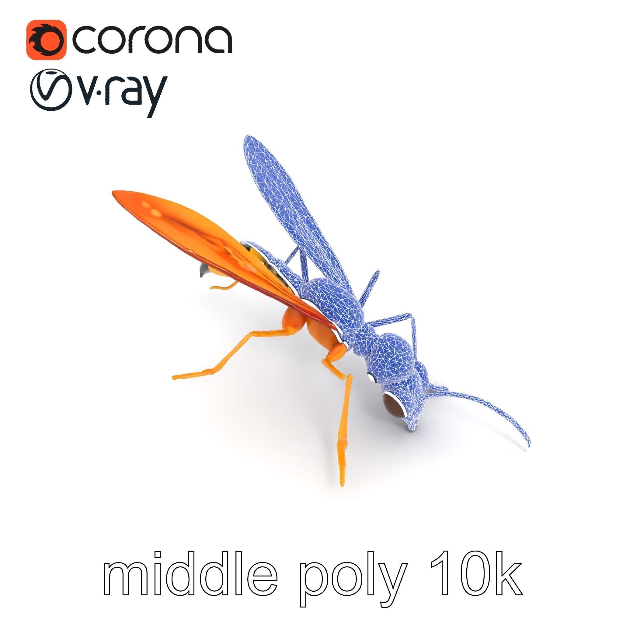 Ichneumon Wasp Anatomical Precision 3D Model Pack Low-poly 3D model_17