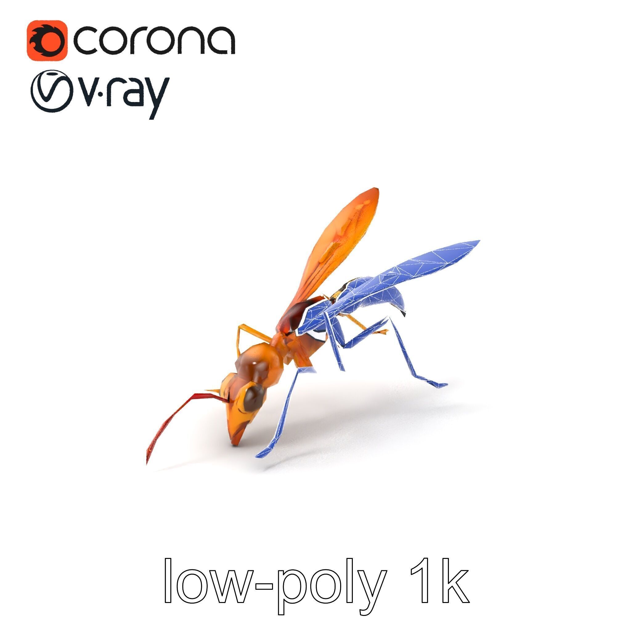 Ichneumon Wasp Anatomical Precision 3D Model Pack Low-poly 3D model_7