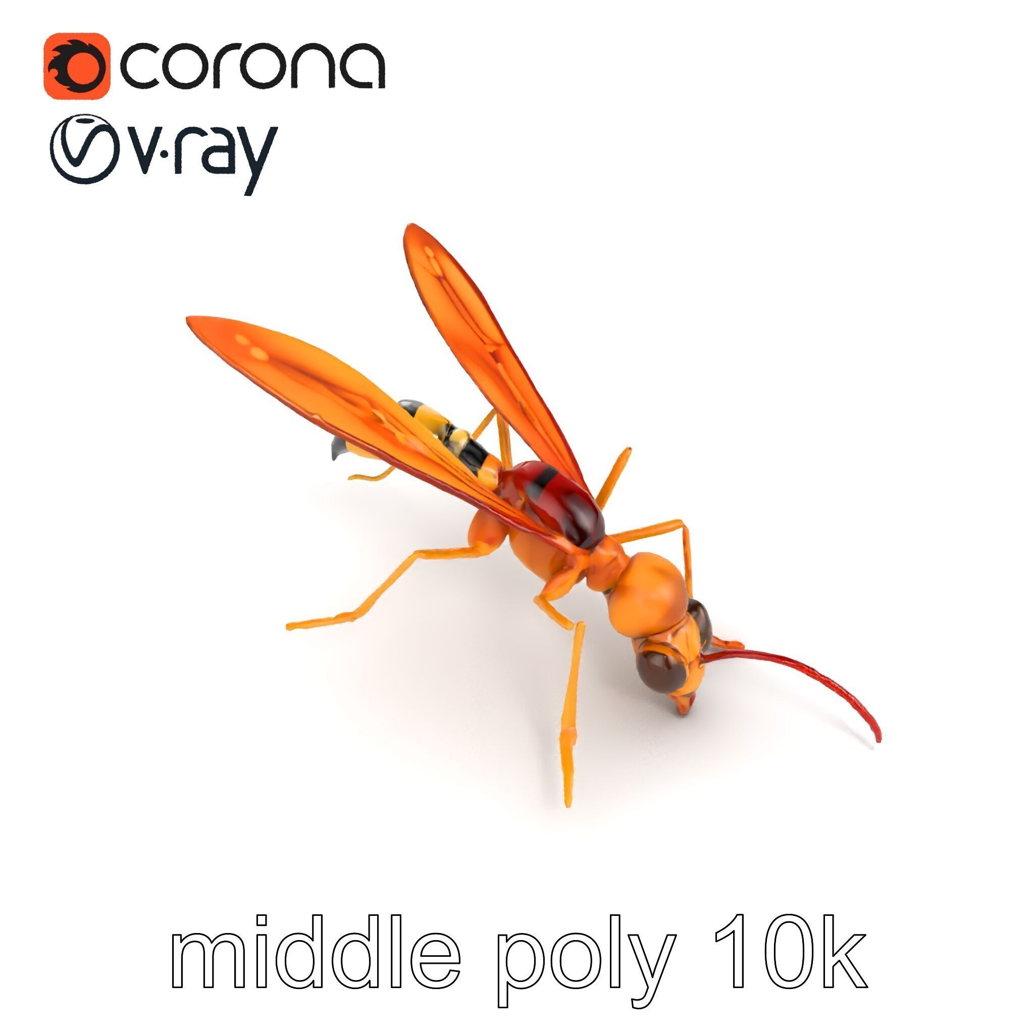 Ichneumon Wasp Anatomical Precision 3D Model Pack Low-poly 3D model_15