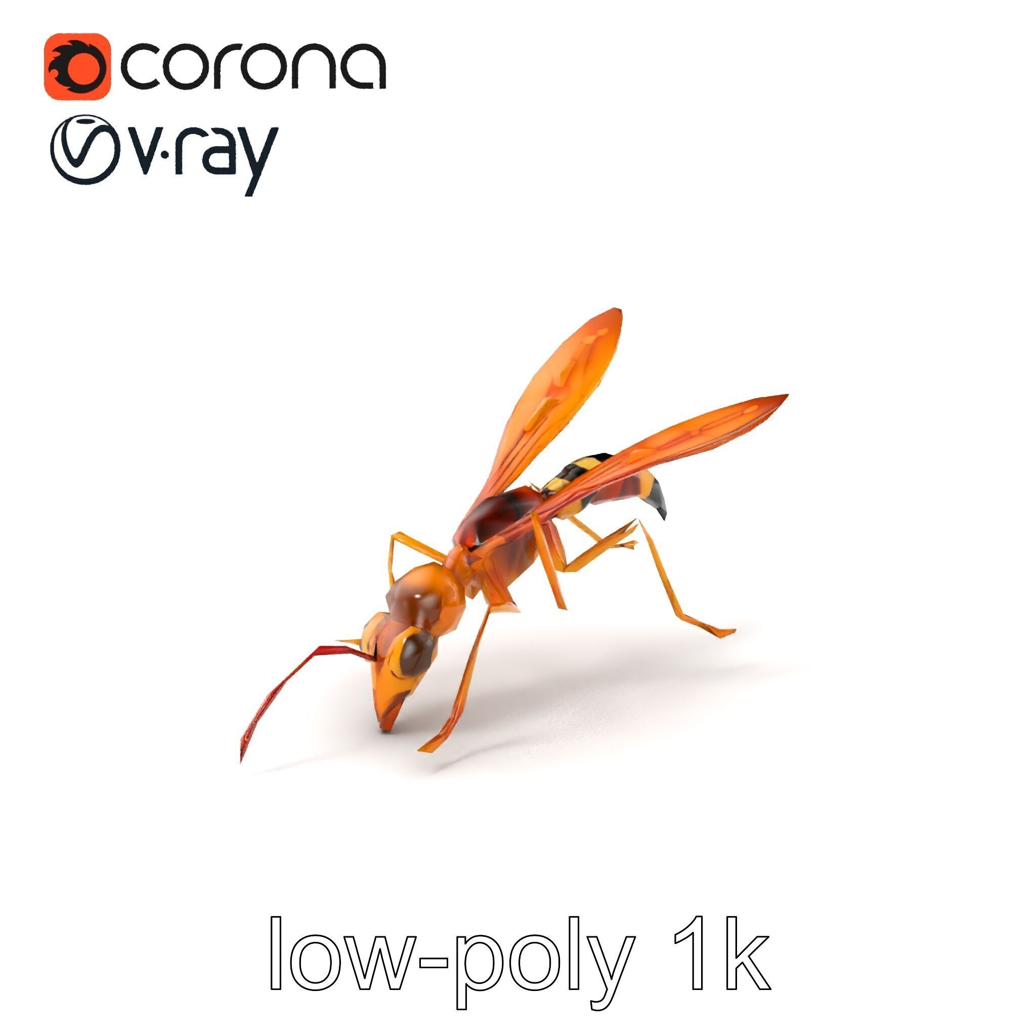 Ichneumon Wasp Anatomical Precision 3D Model Pack Low-poly 3D model_5