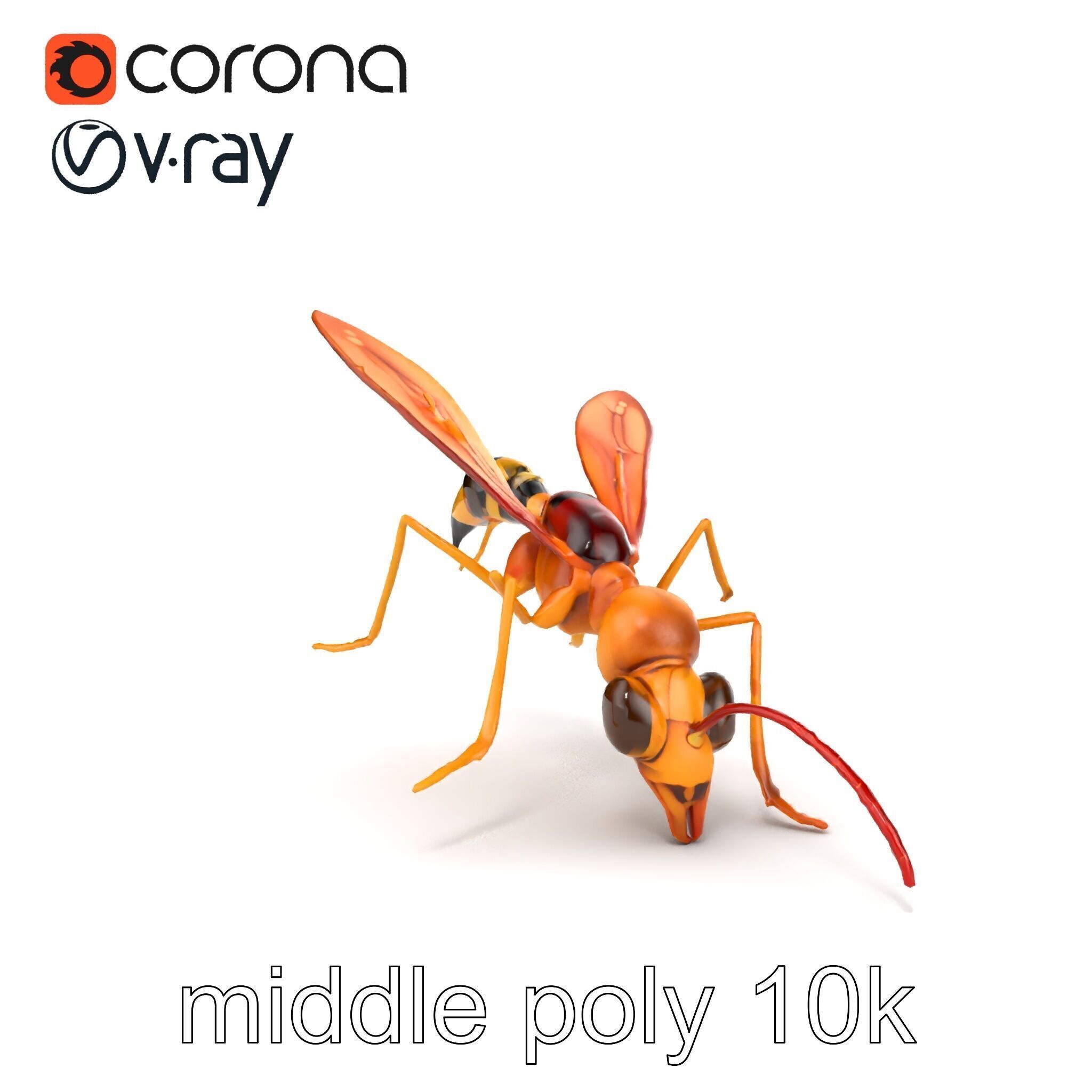 Ichneumon Wasp Anatomical Precision 3D Model Pack Low-poly 3D model_29