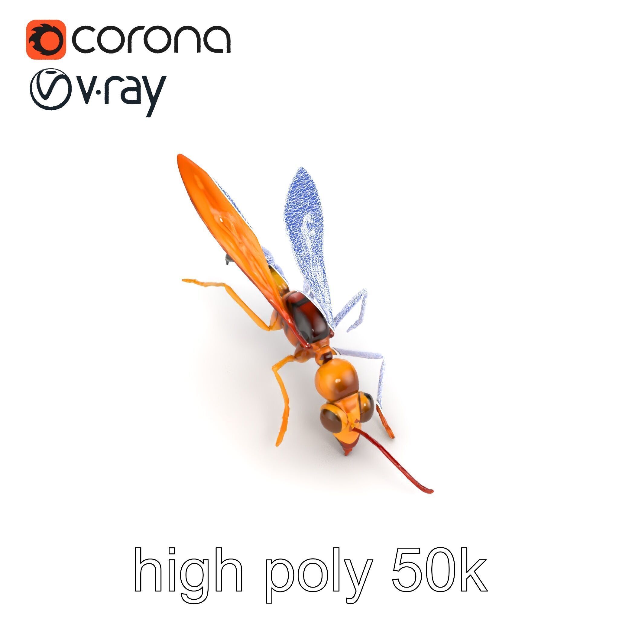 Ichneumon Wasp Anatomical Precision 3D Model Pack Low-poly 3D model_16