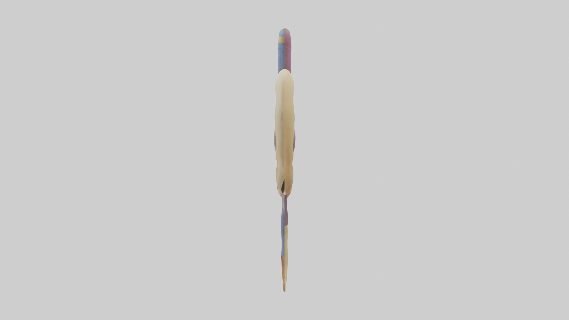 Human Urethra Model Low-poly 3D model_12