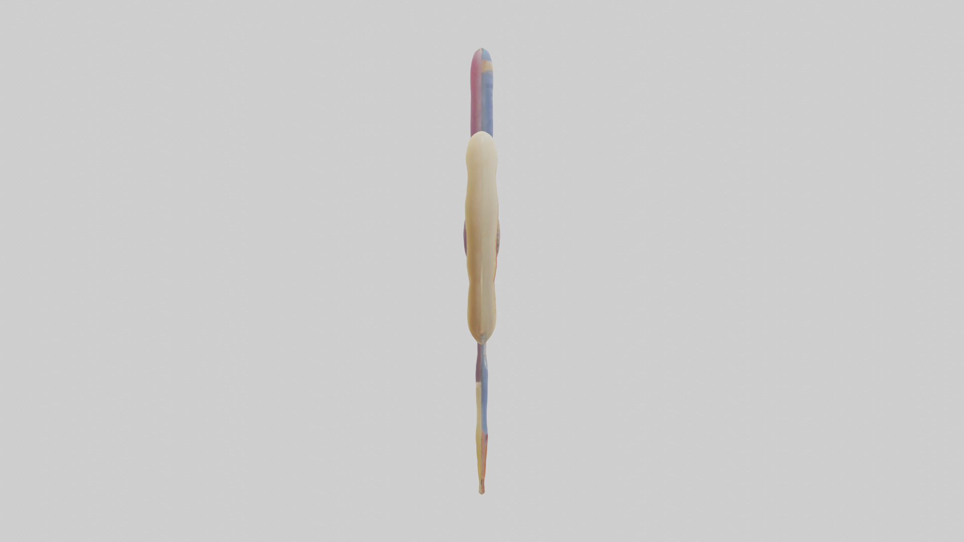 Human Urethra Model Low-poly 3D model_13