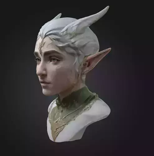 High-Detail 3D Printable Elf Woman Bust