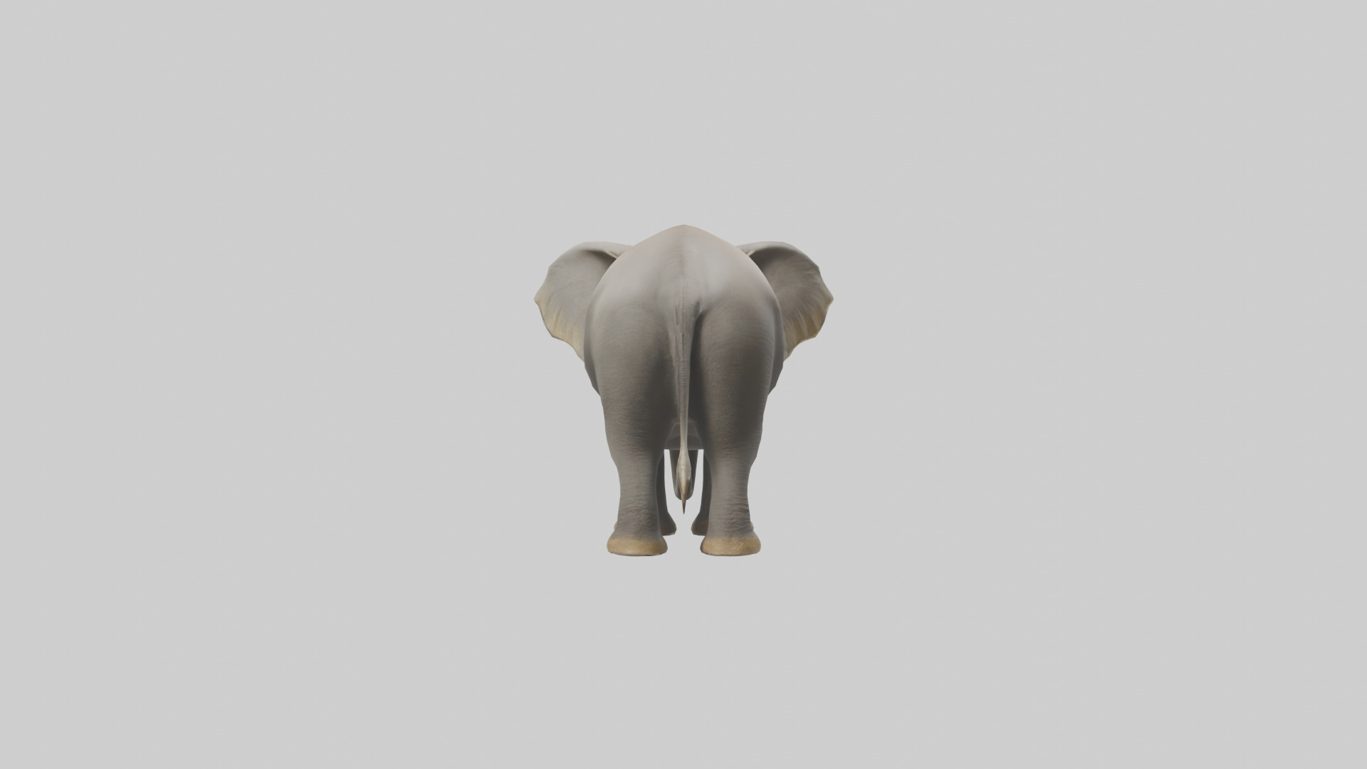 Indian Elephant grazing model Low-poly 3D model_3