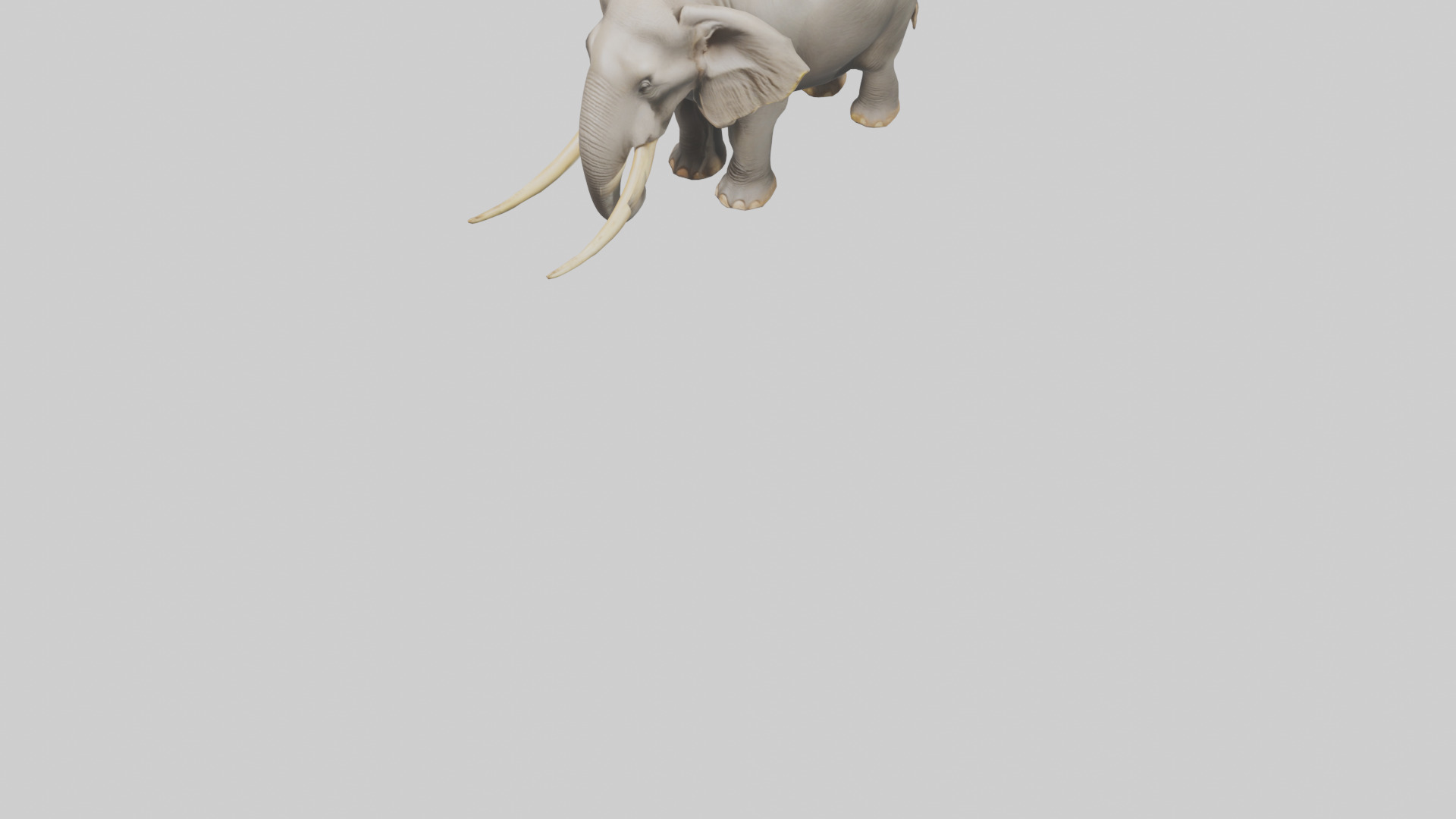Indian Elephant grazing model Low-poly 3D model_8
