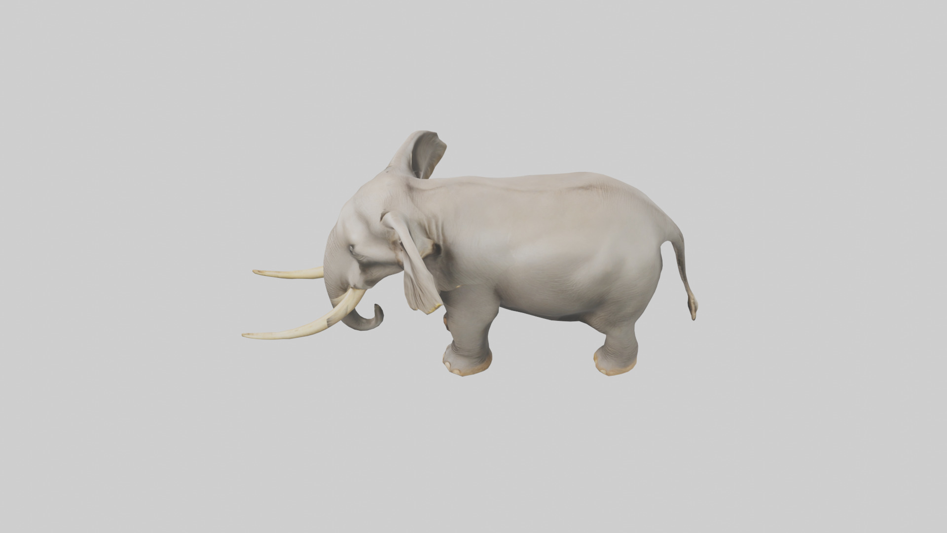 Indian Elephant grazing model Low-poly 3D model_17