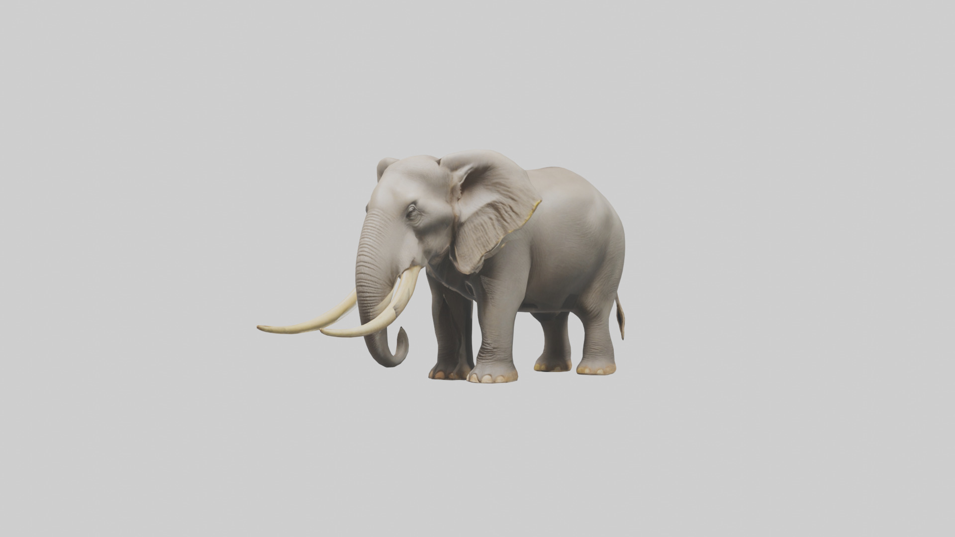 Indian Elephant grazing model Low-poly 3D model_1