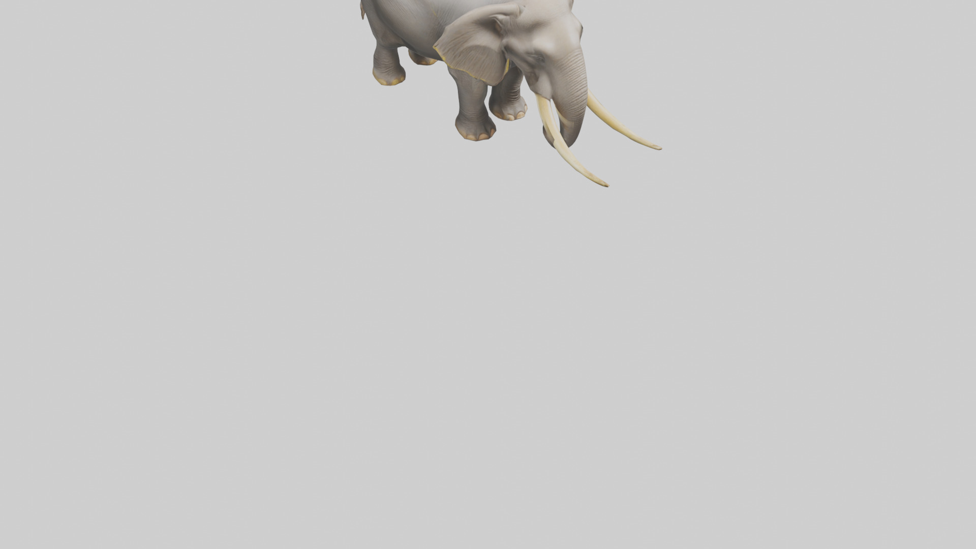 Indian Elephant grazing model Low-poly 3D model_9
