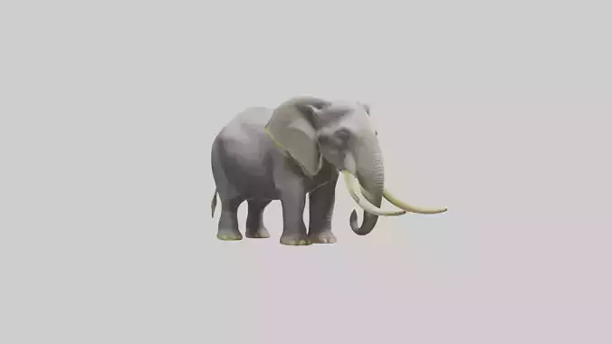 Indian Elephant grazing model